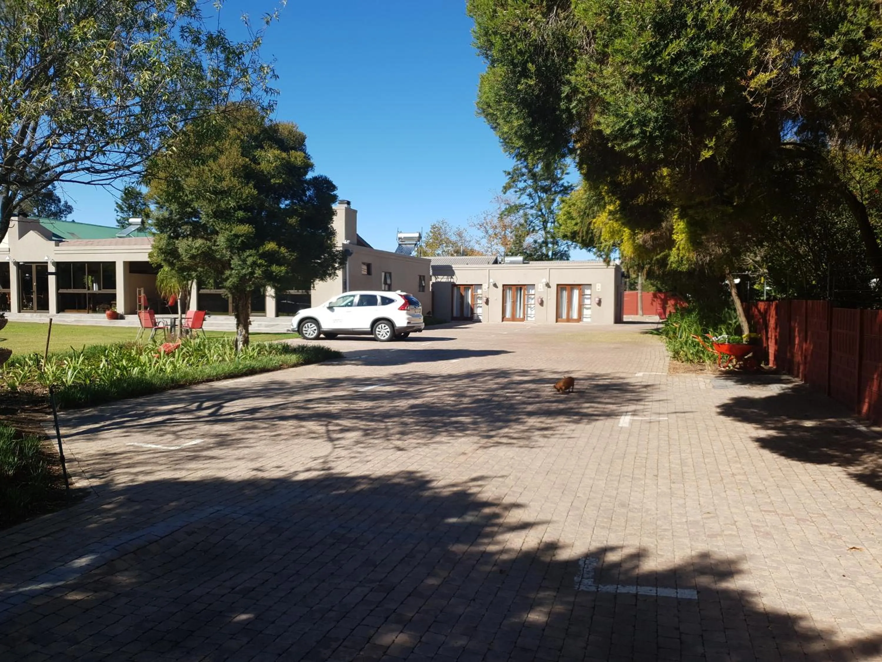 Garden in Dilisca Guesthouse