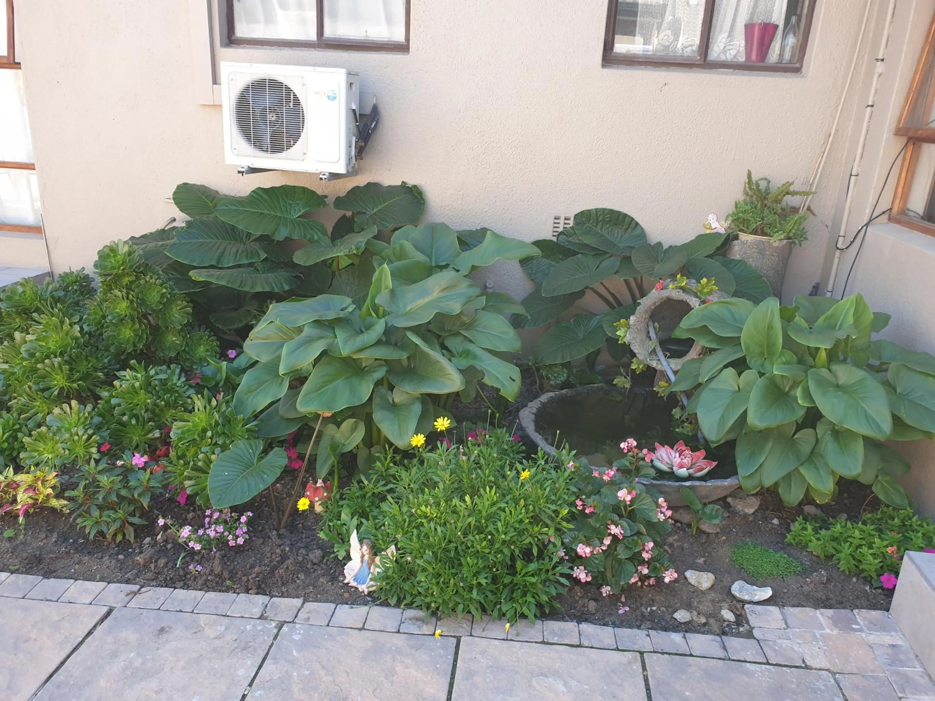 Garden in Dilisca Guesthouse