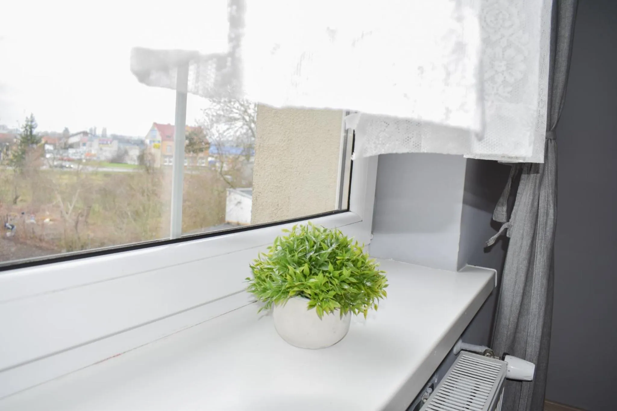 View (from property/room) in Hostel Przed Świtem