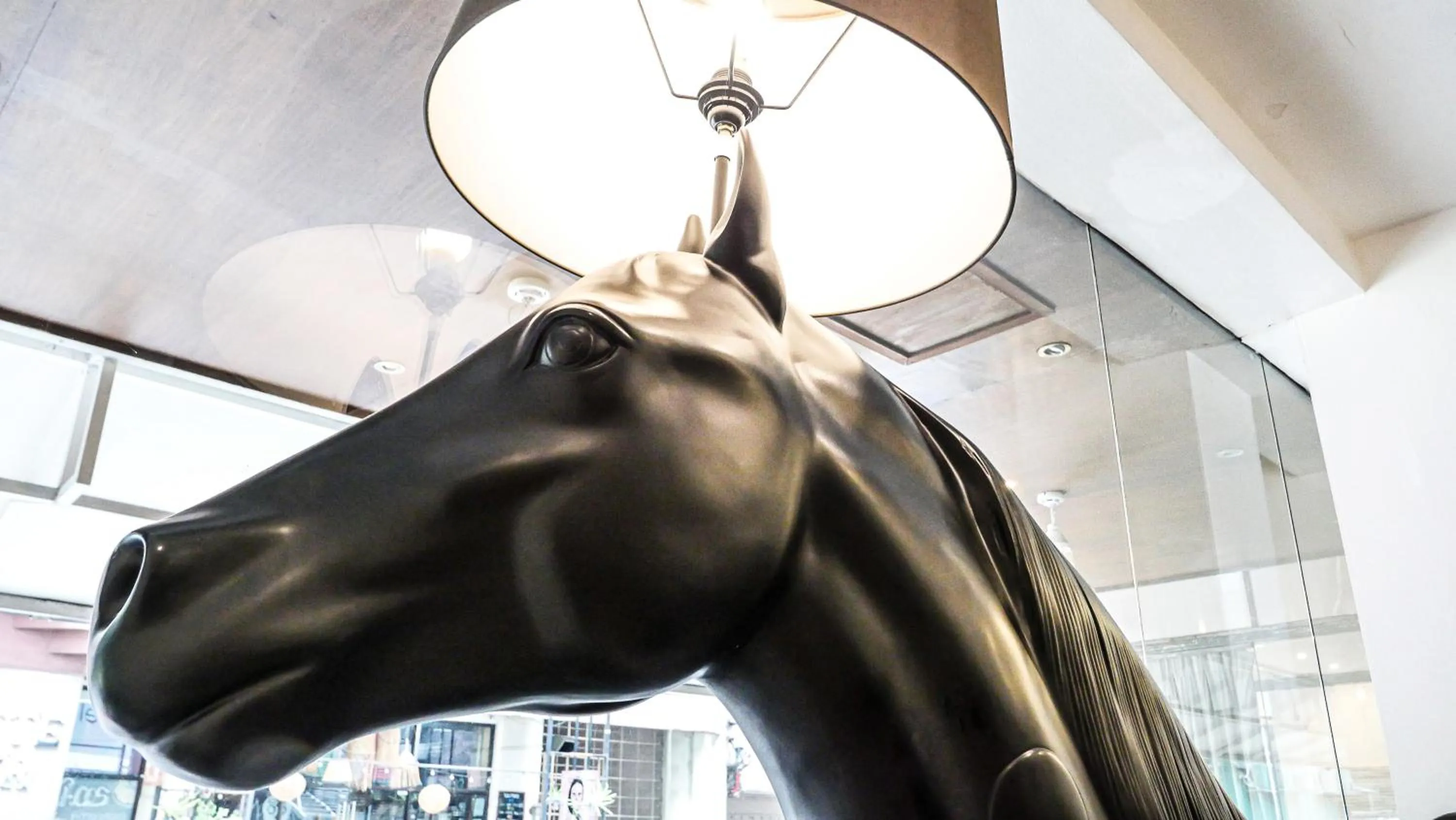 Property building in Hotel Durban