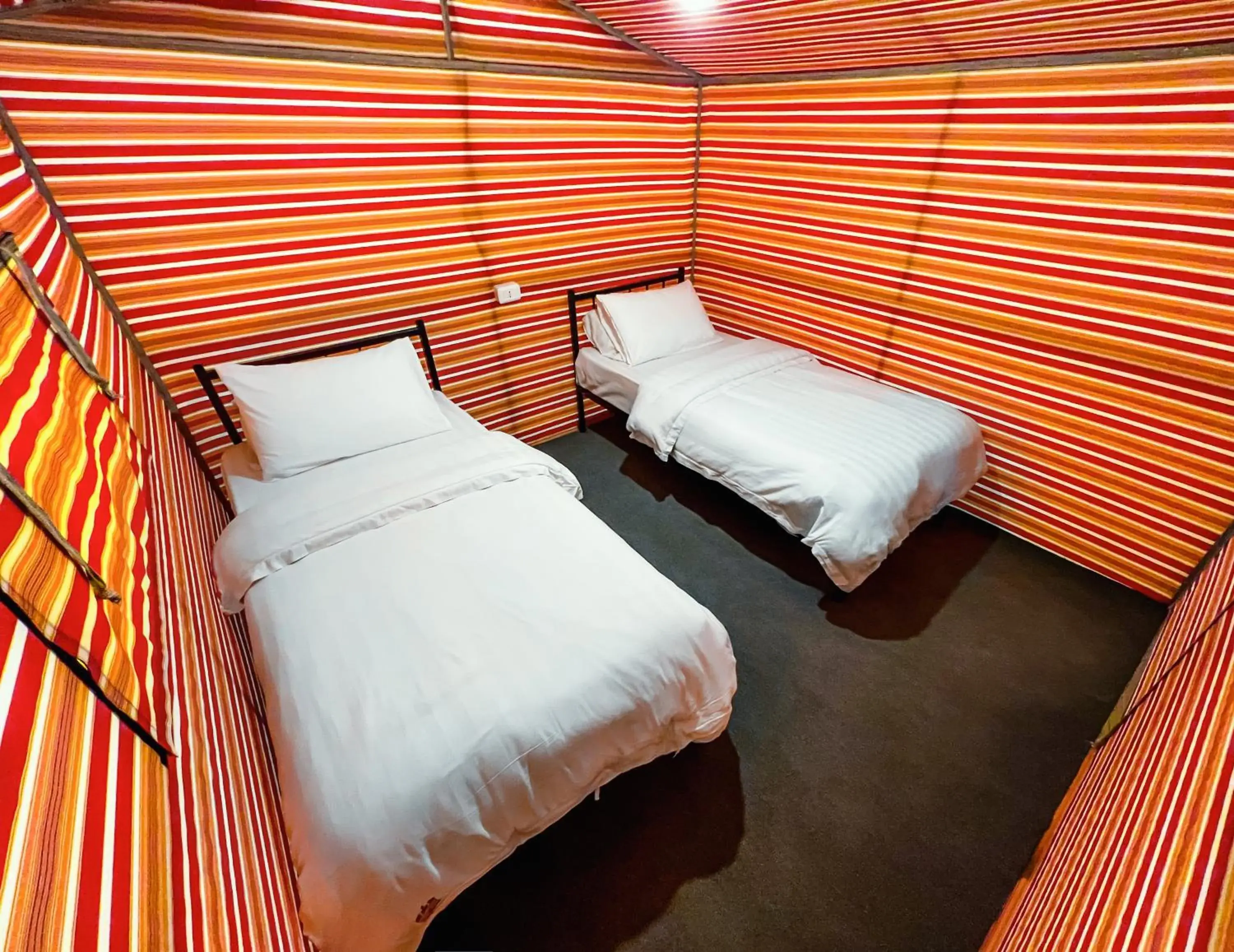 Twin Room Tent in Little Petra Bedouin Camp Twin Room Tent in Little Petra Bedouin Camp