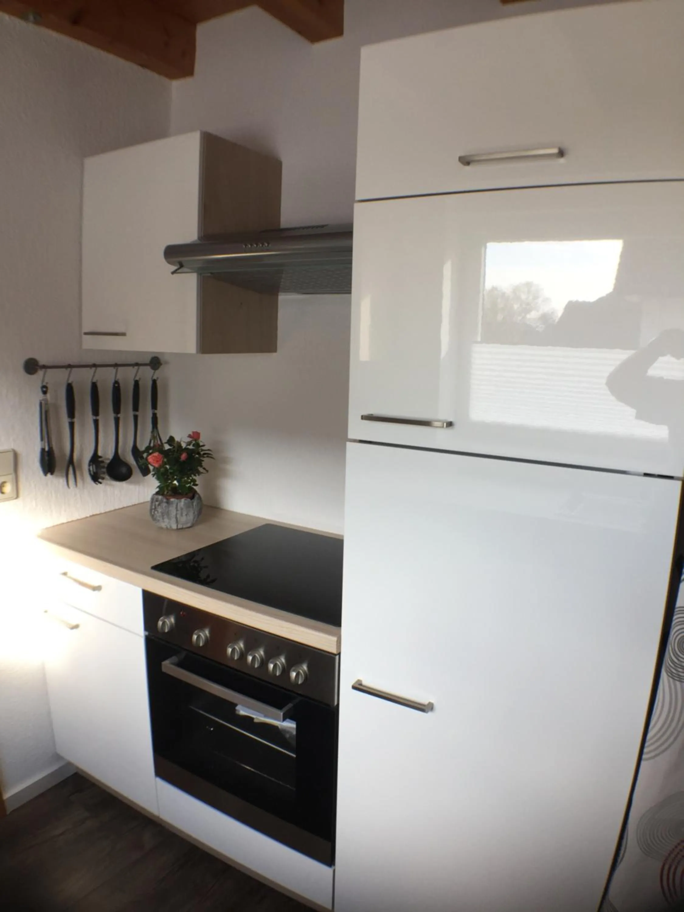 Kitchen or kitchenette in Ferienwohnung Alte B3
