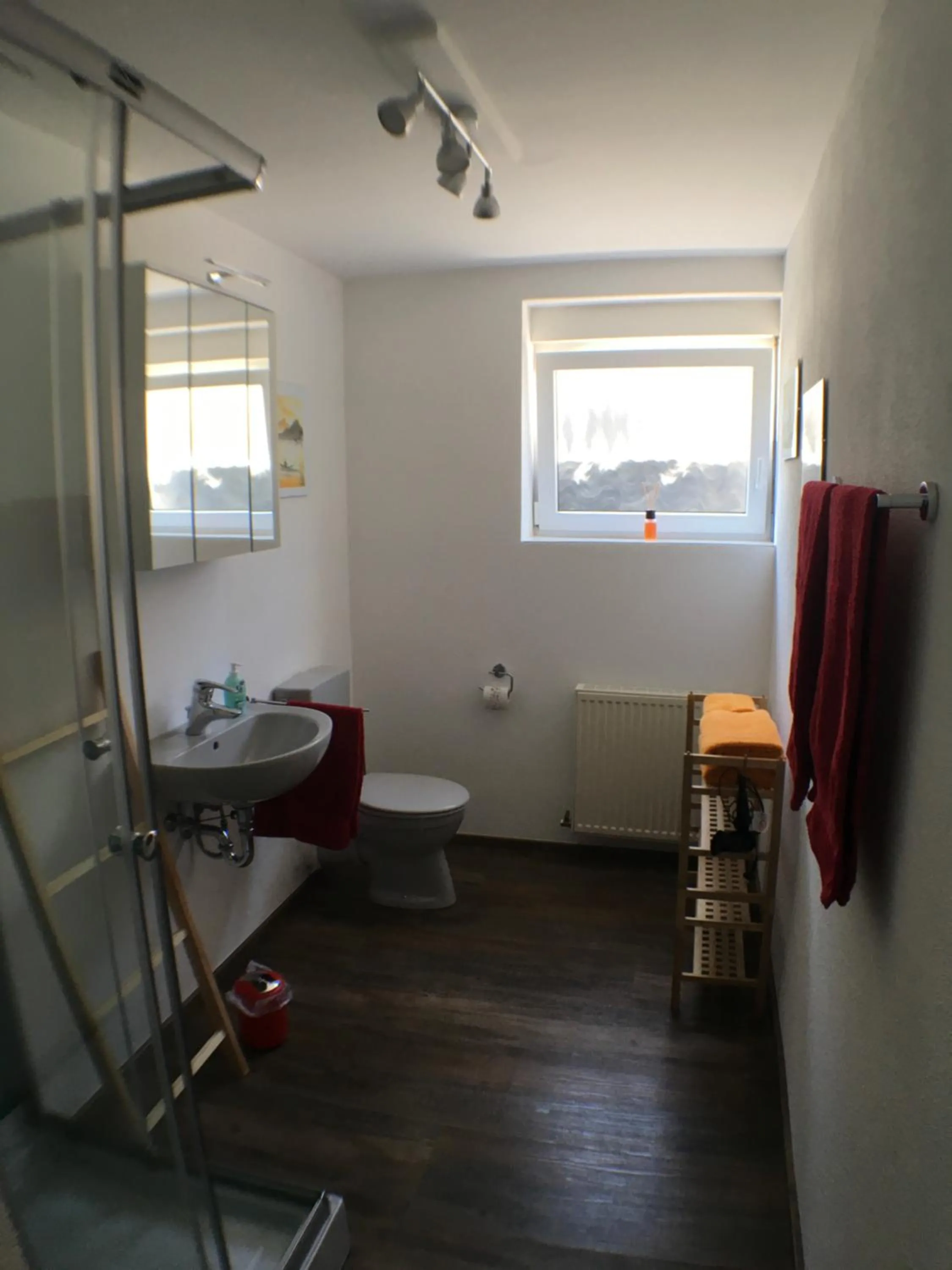 Bathroom in Ferienwohnung Alte B3