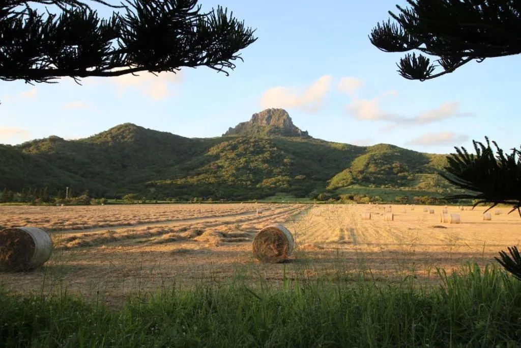 Natural landscape in Island on the Sea