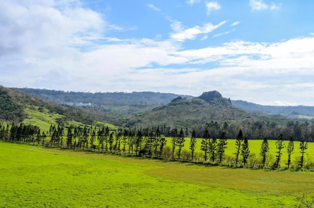 Natural landscape in Island on the Sea