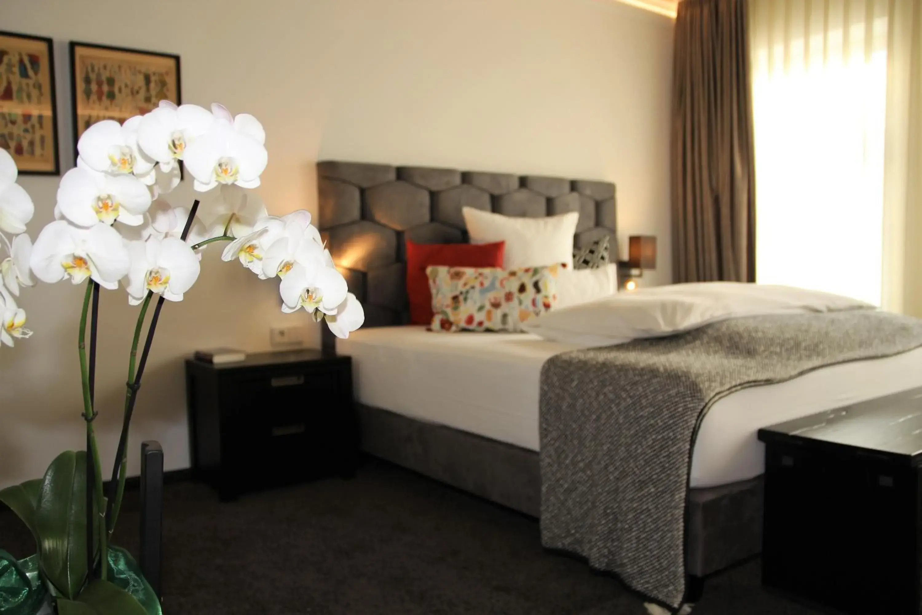 Höll am Main Höll am Main