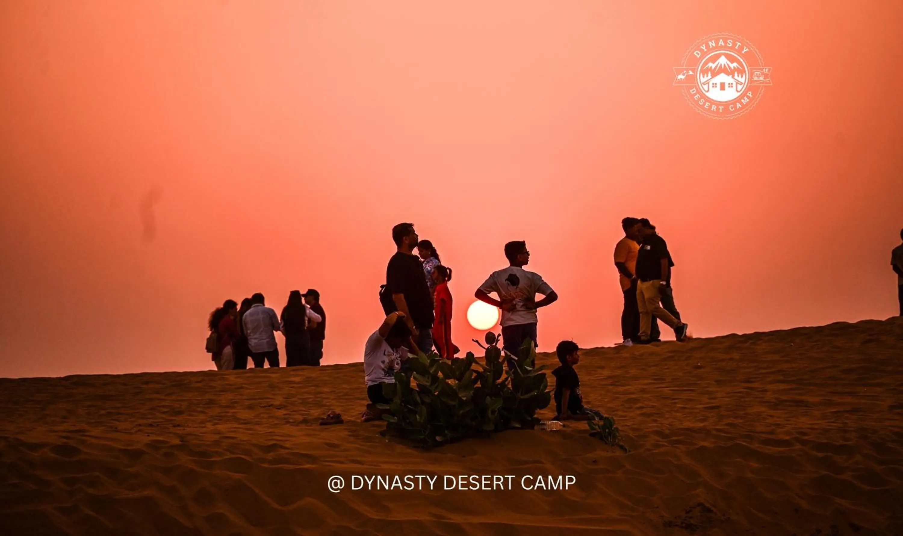 Dynasty Desert Camp and Resort