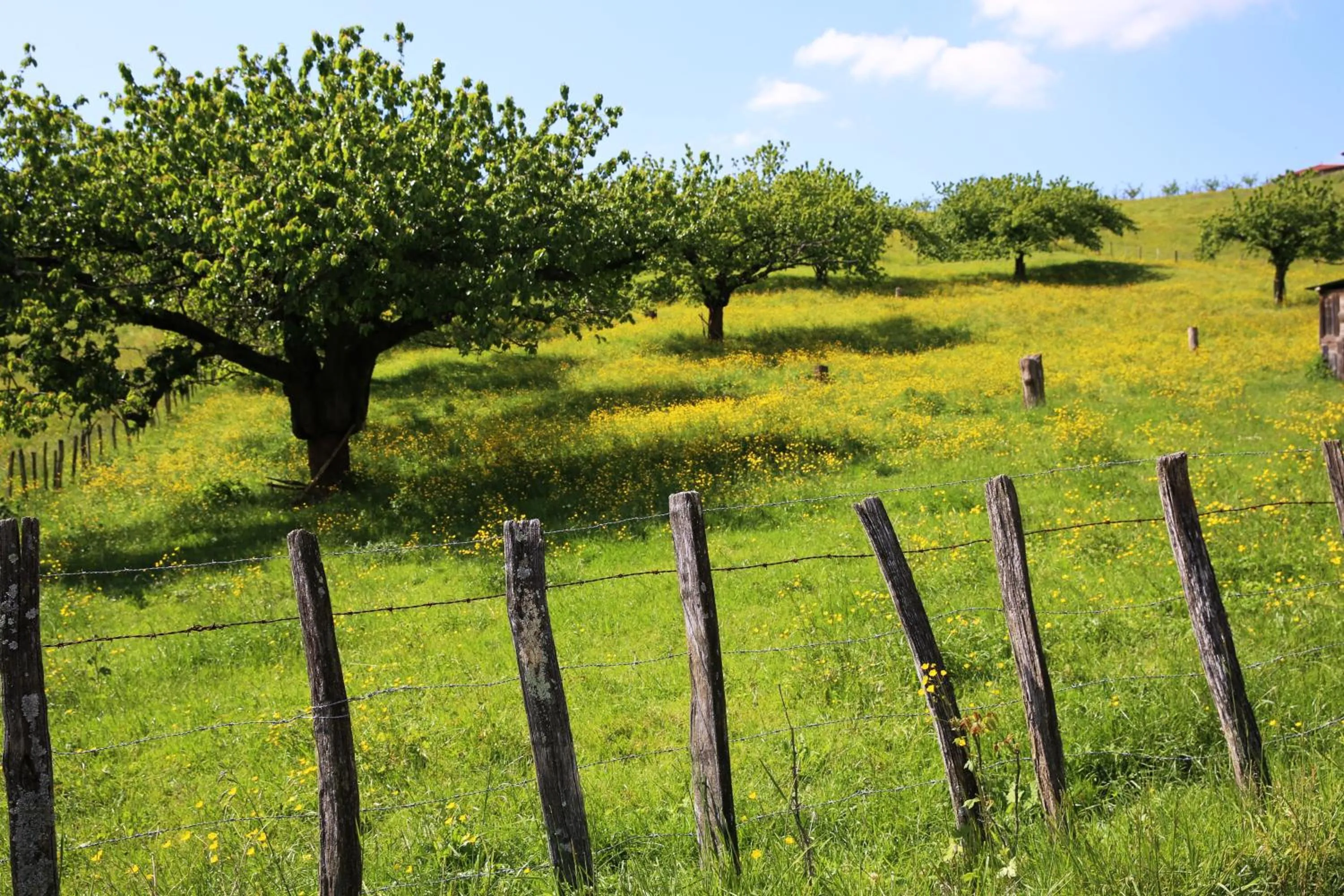 Natural landscape in Maison Cube