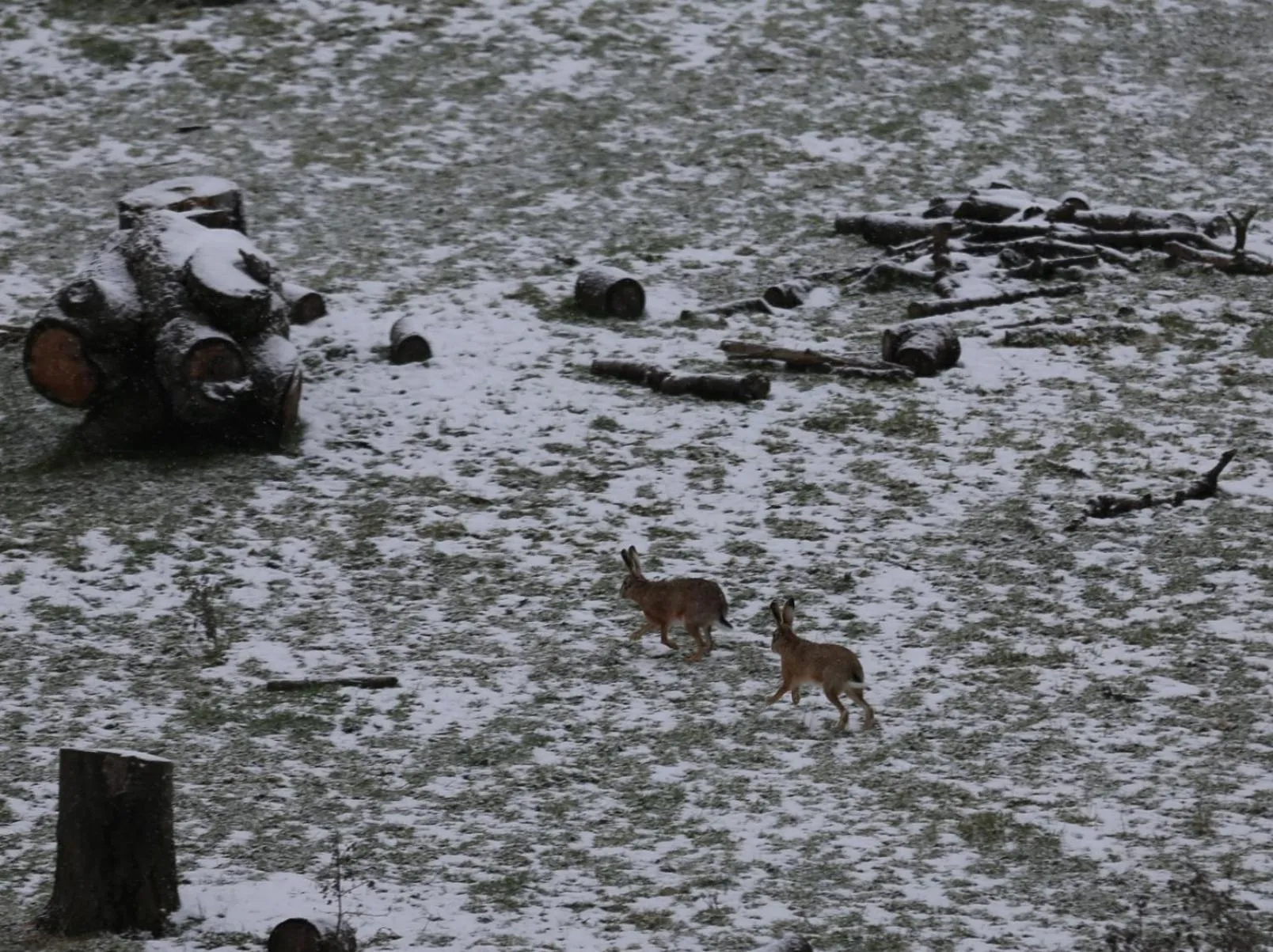 Natural landscape in Maison Cube