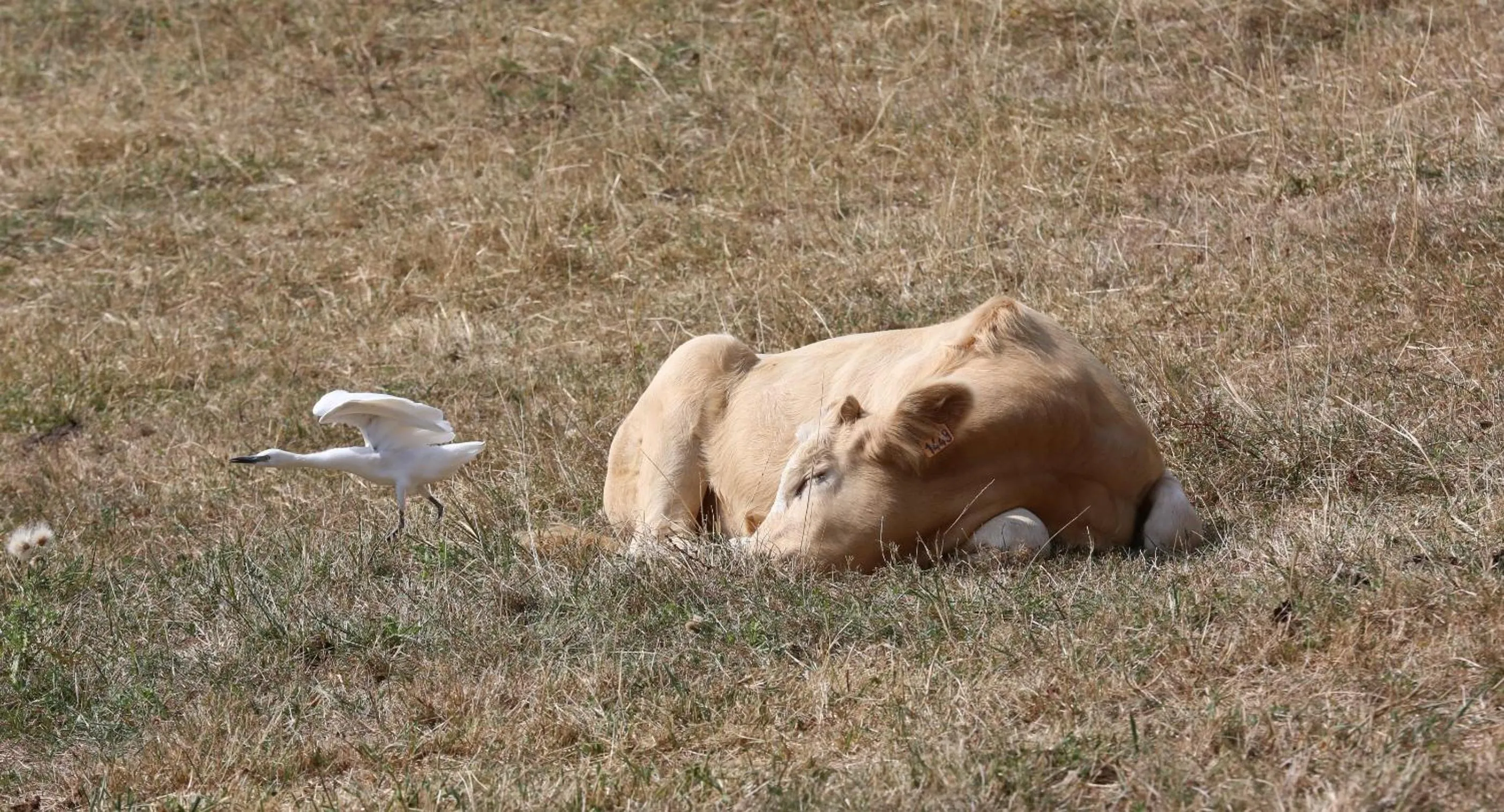 View (from property/room) in Maison Cube