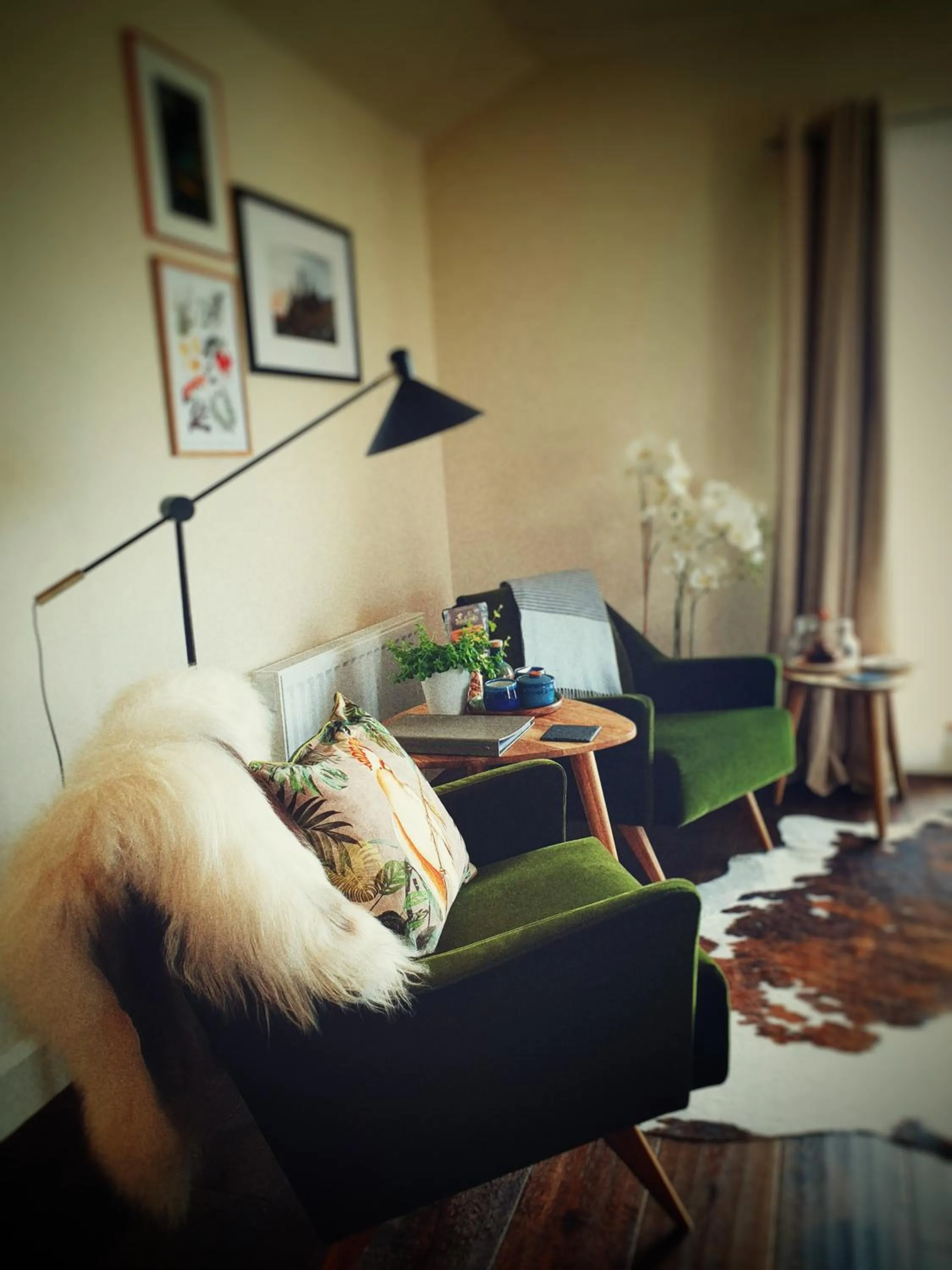 Seating area in Abhaig Boutique B&B - Small & luxurious in a great location!