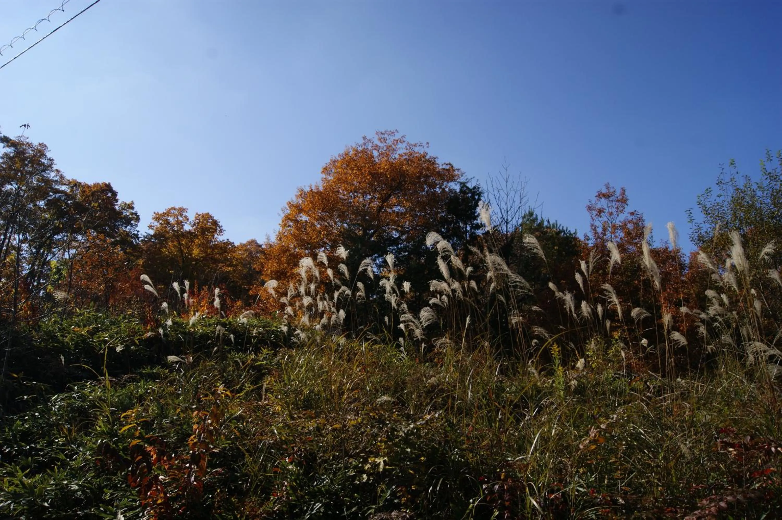 Pension Good Luck Takayama