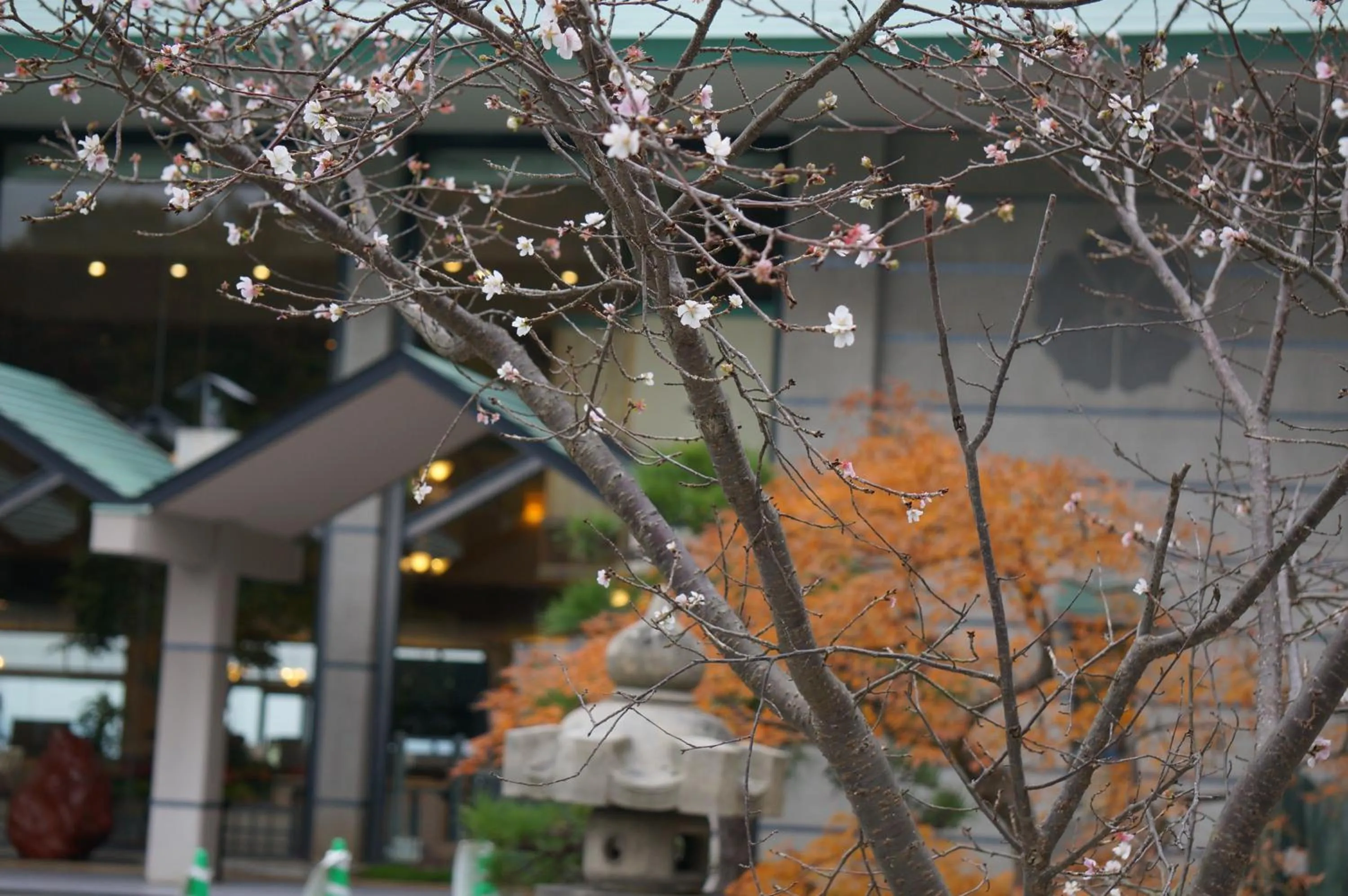 Garden in Yunaginoyu Hotel Hanajyukai