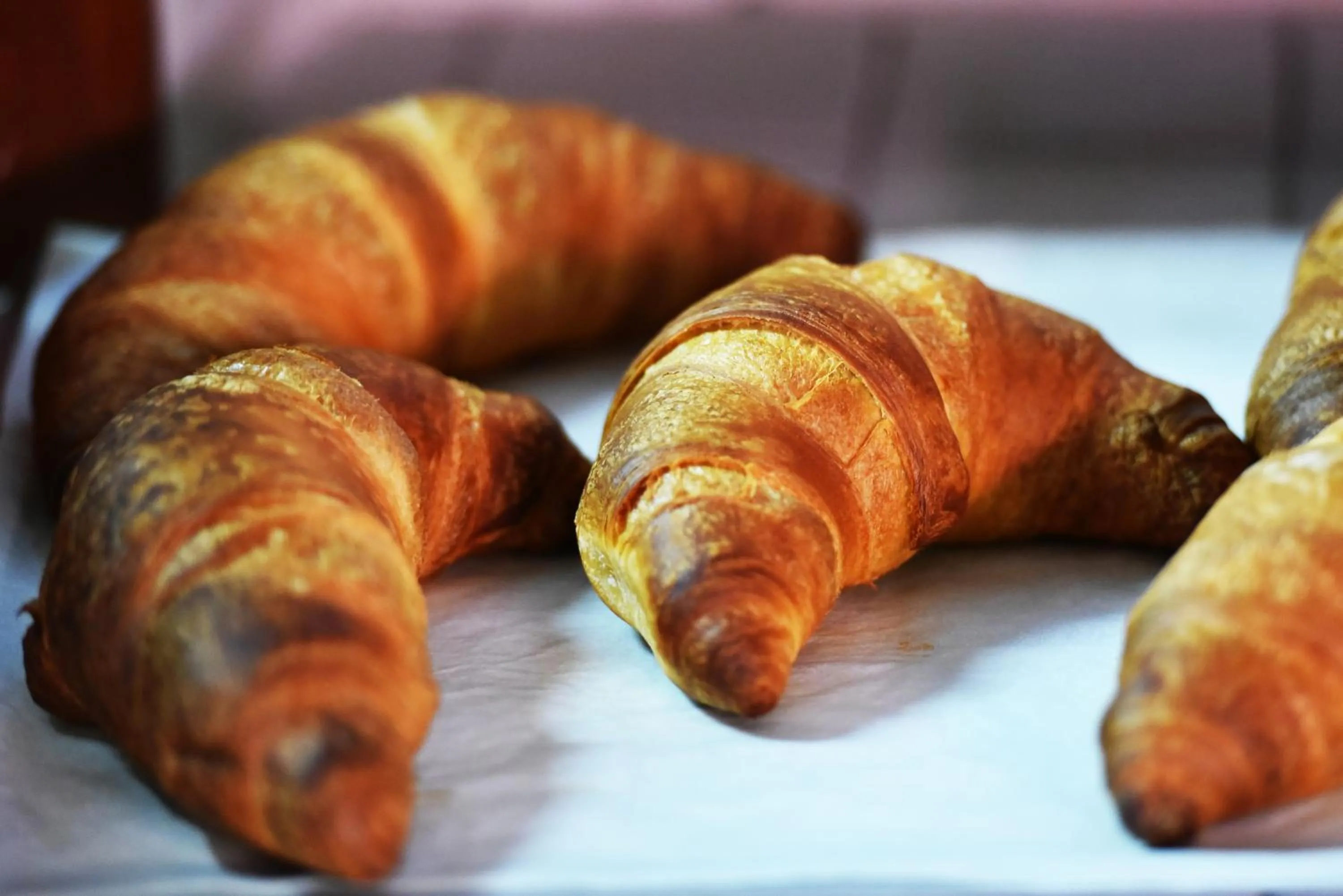 Food and drinks in B&B Amalfi Coast Salerno