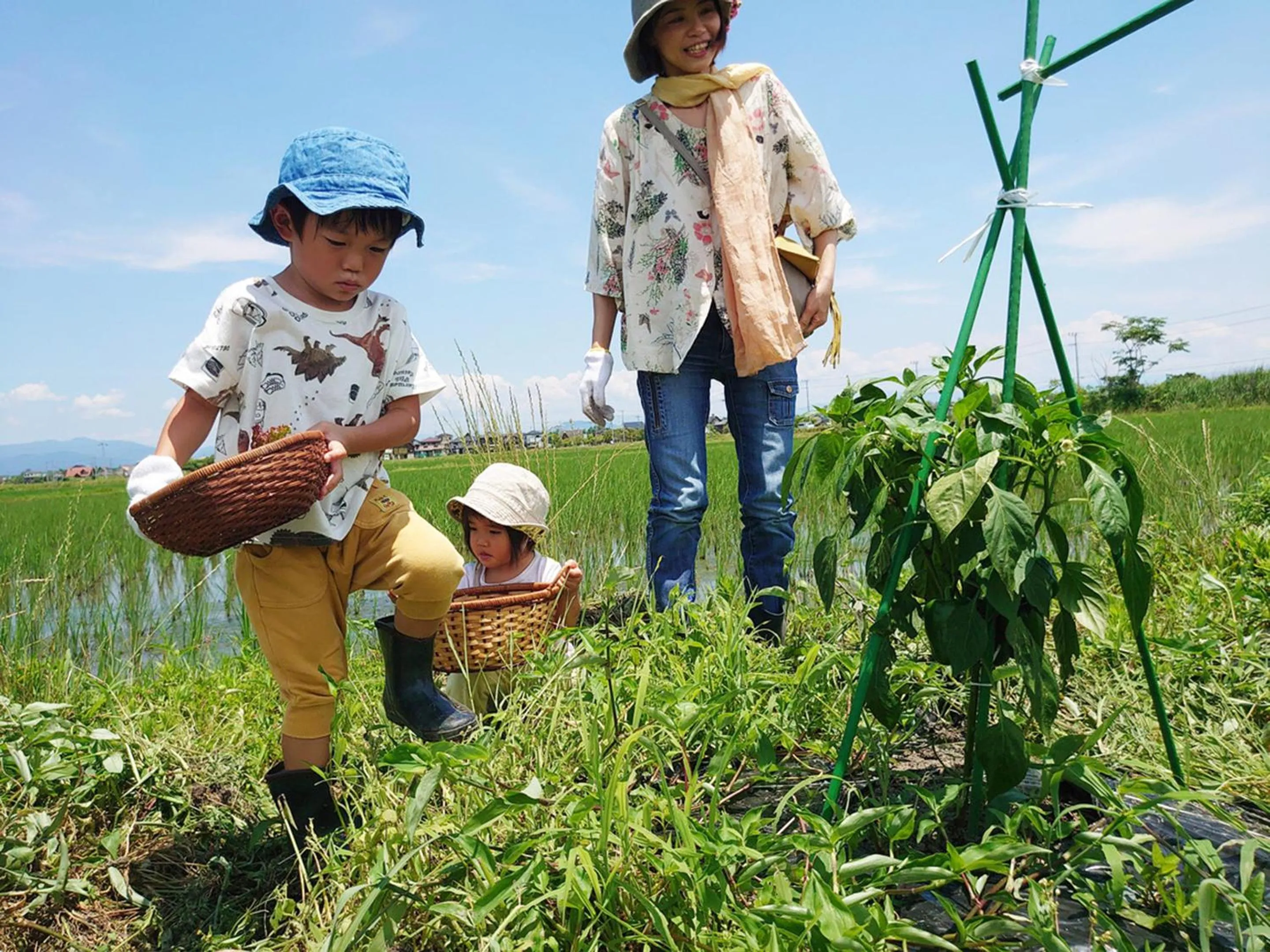 Off site in Racine Home Harie