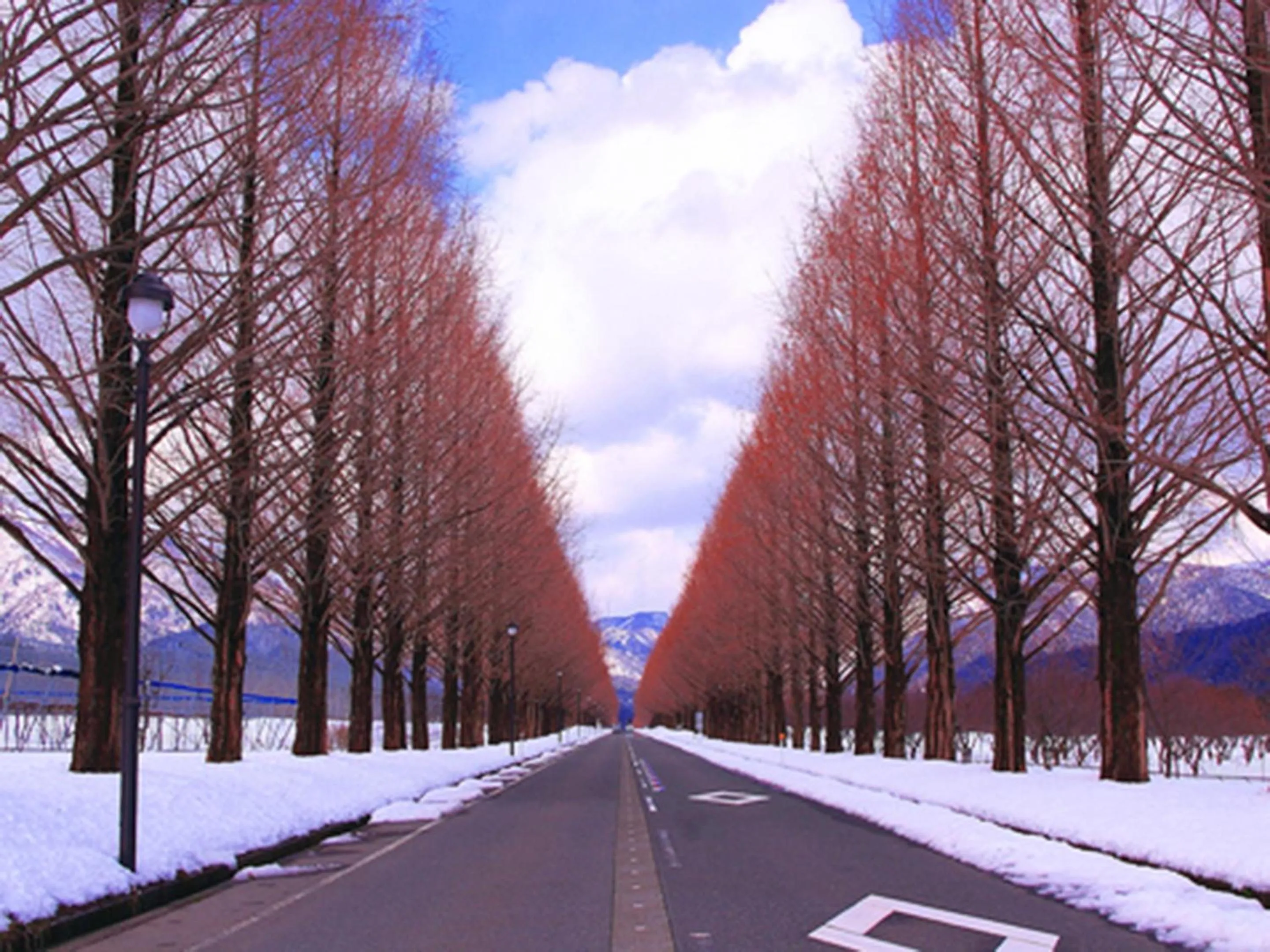 Nearby landmark in Racine Home Harie