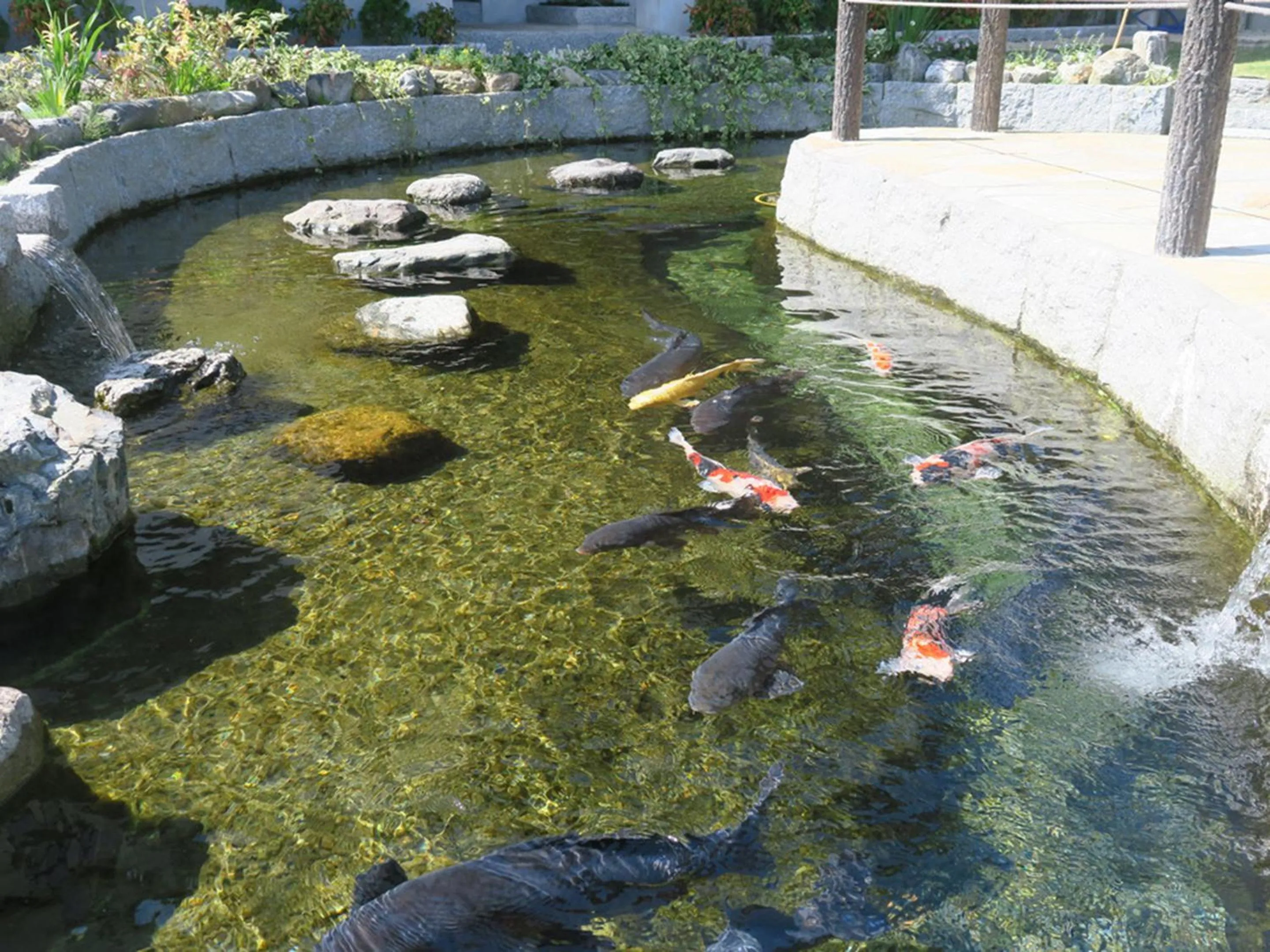 Garden in Racine Home Harie