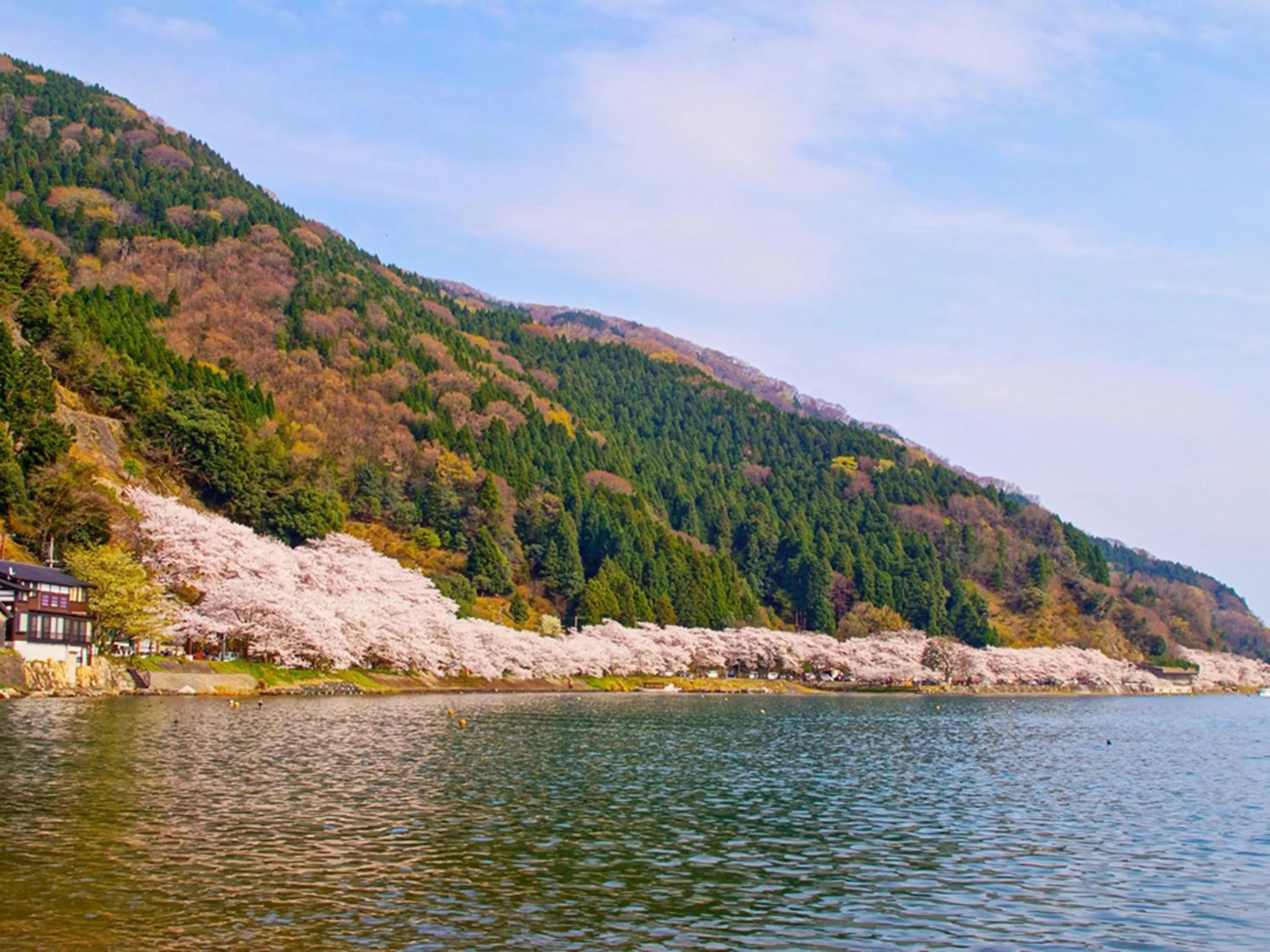 Nearby landmark in Racine Home Harie