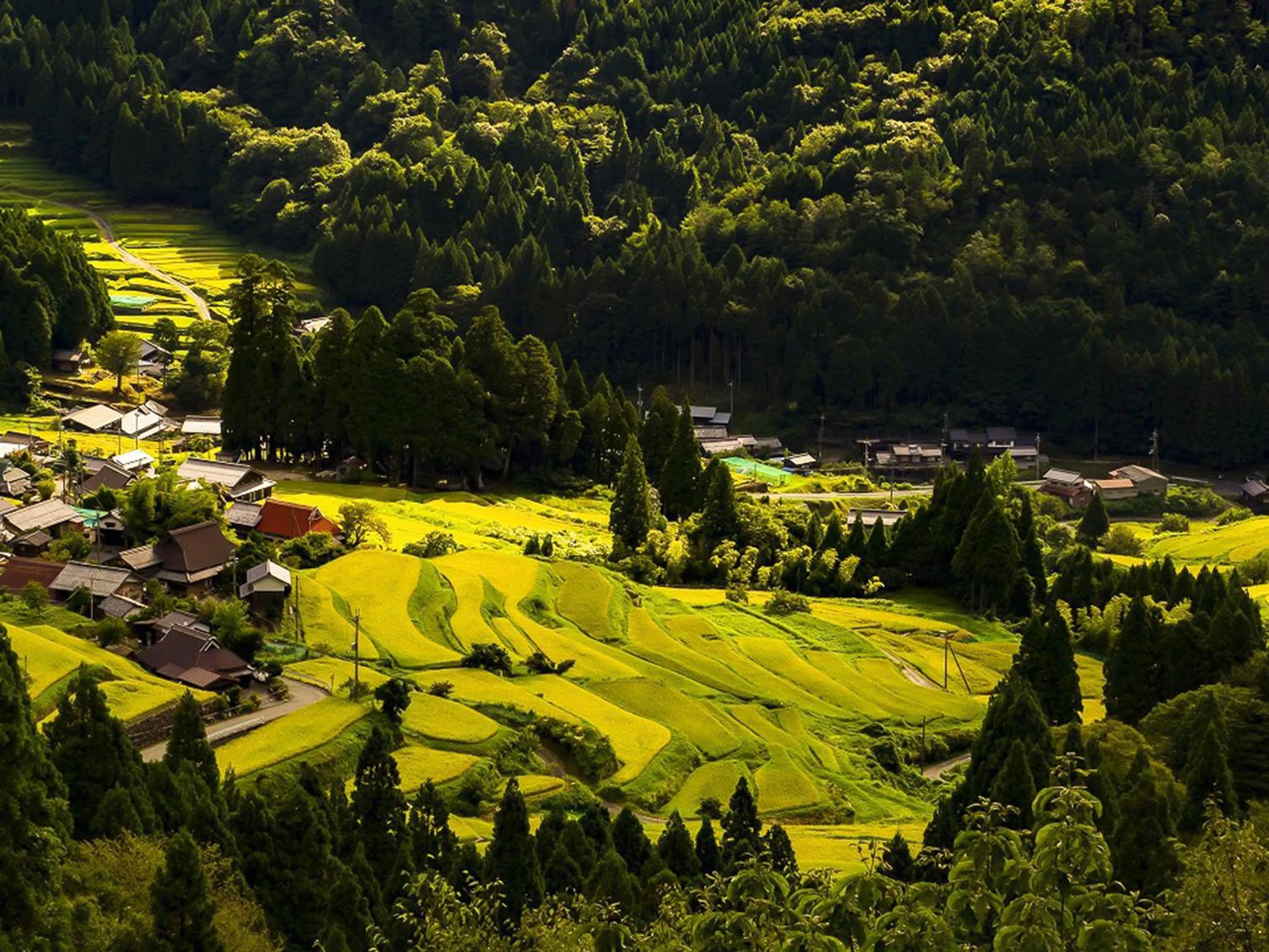 Nearby landmark in Racine Home Harie