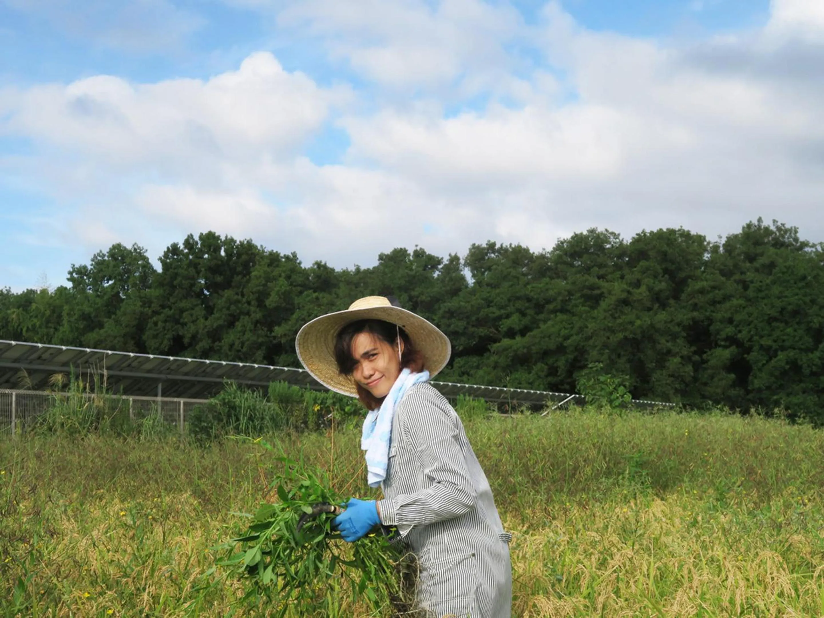 Garden in Racine Home Harie