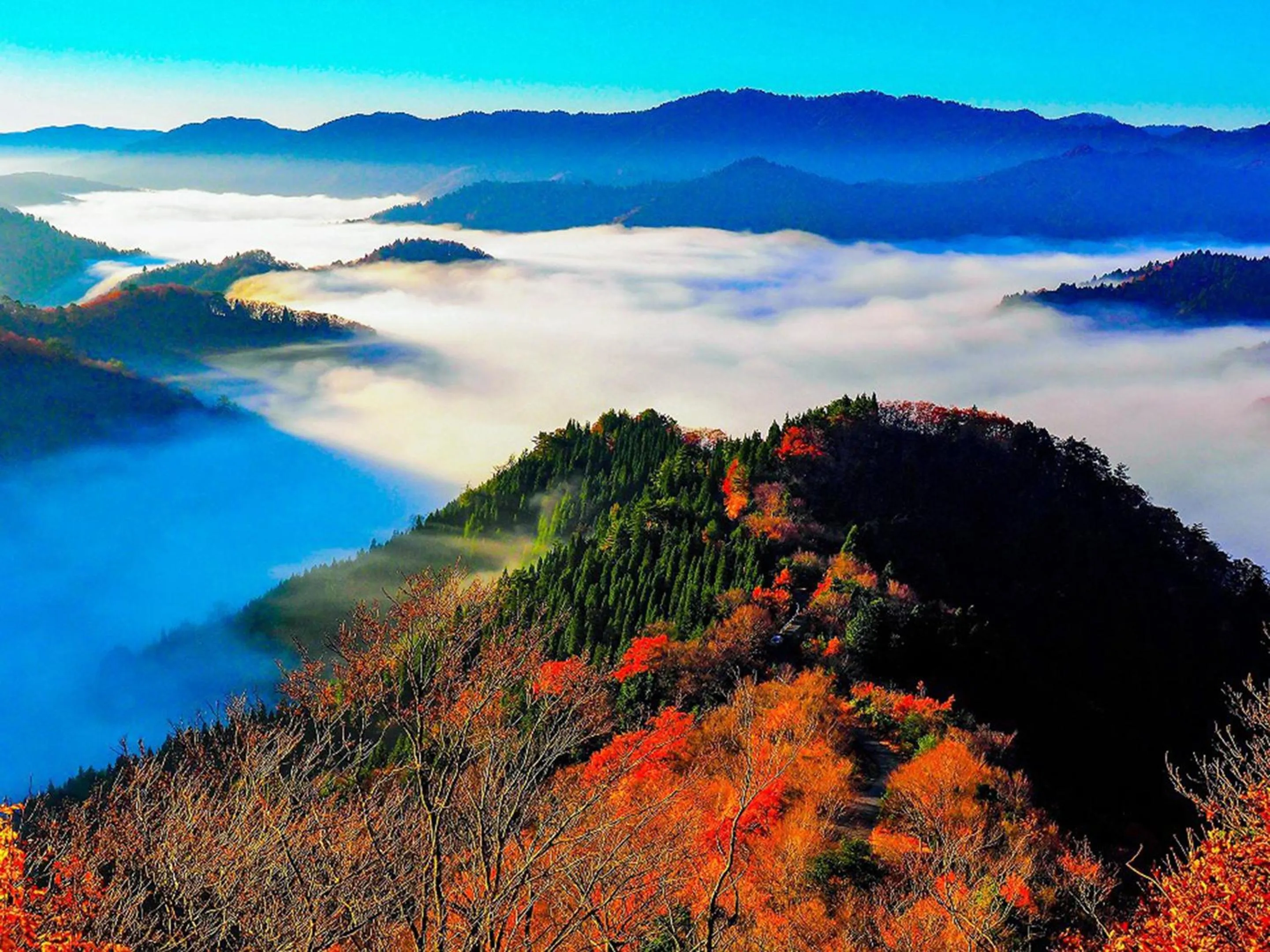 Nearby landmark in Racine Home Harie