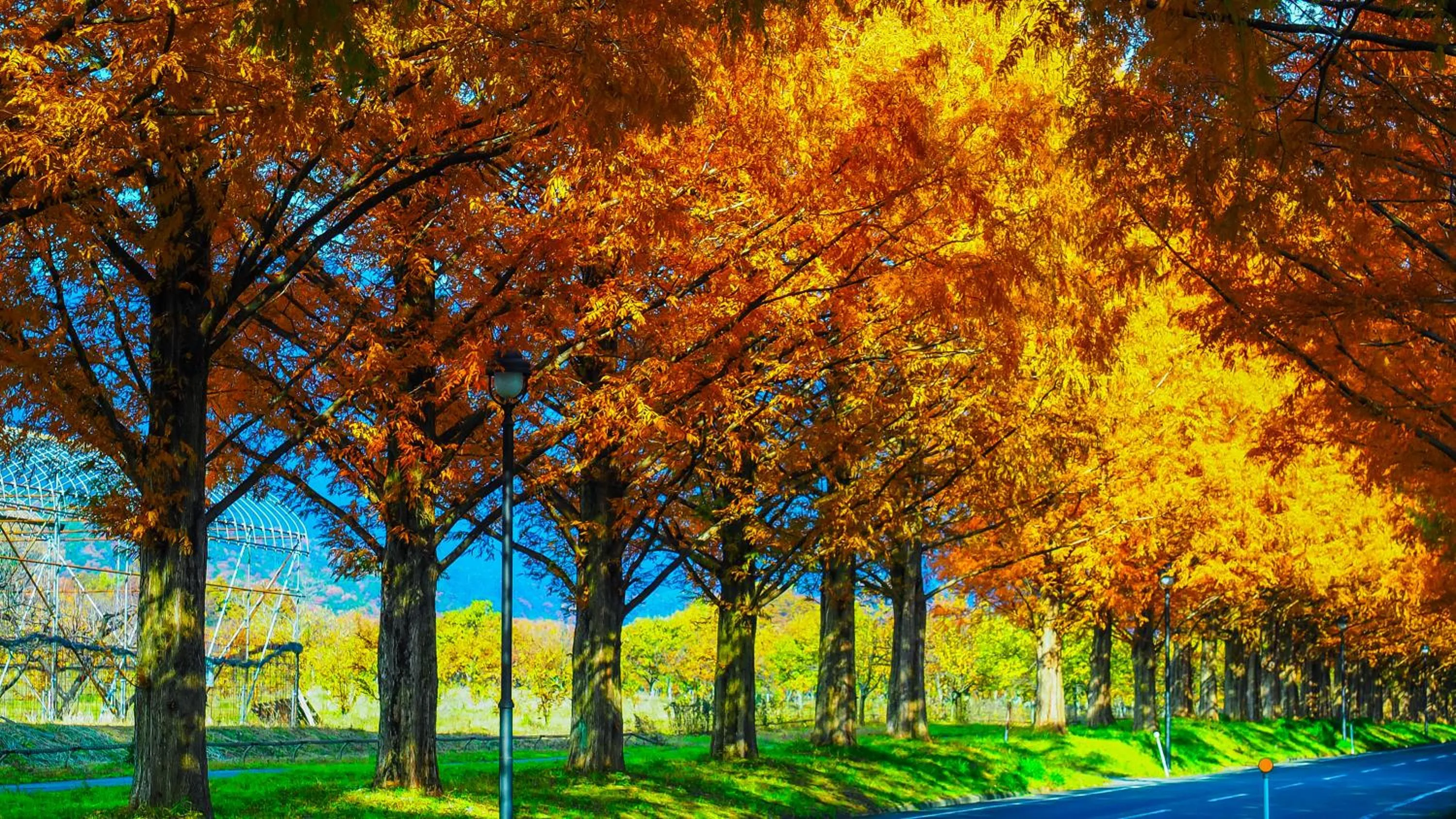 Nearby landmark in Racine Home Harie