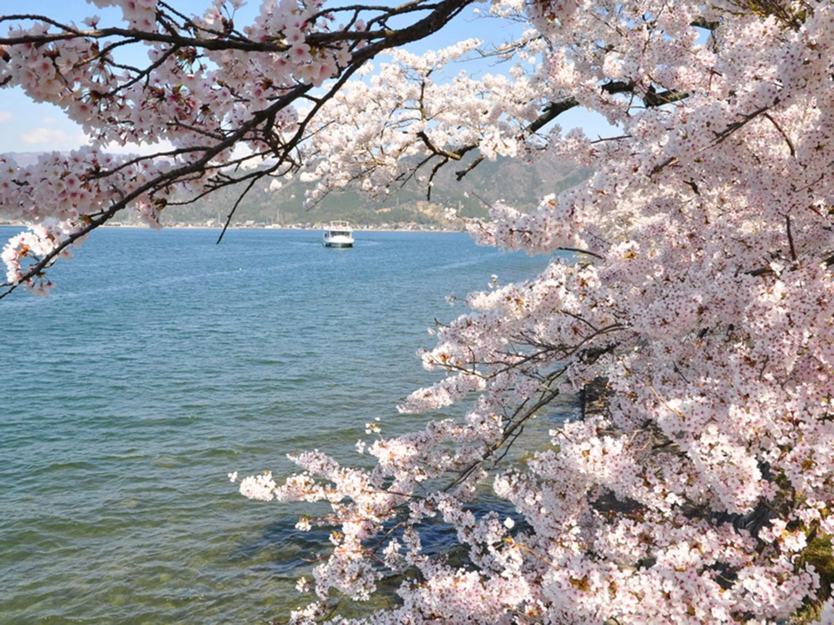Nearby landmark in Racine Home Harie