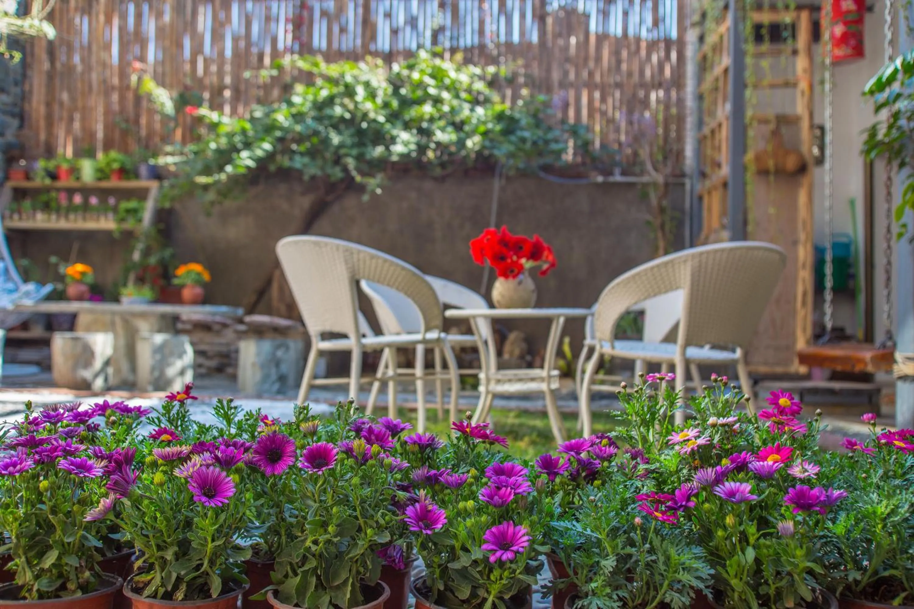 Bird's eye view in M Y J Boutique Inn 梦圆居