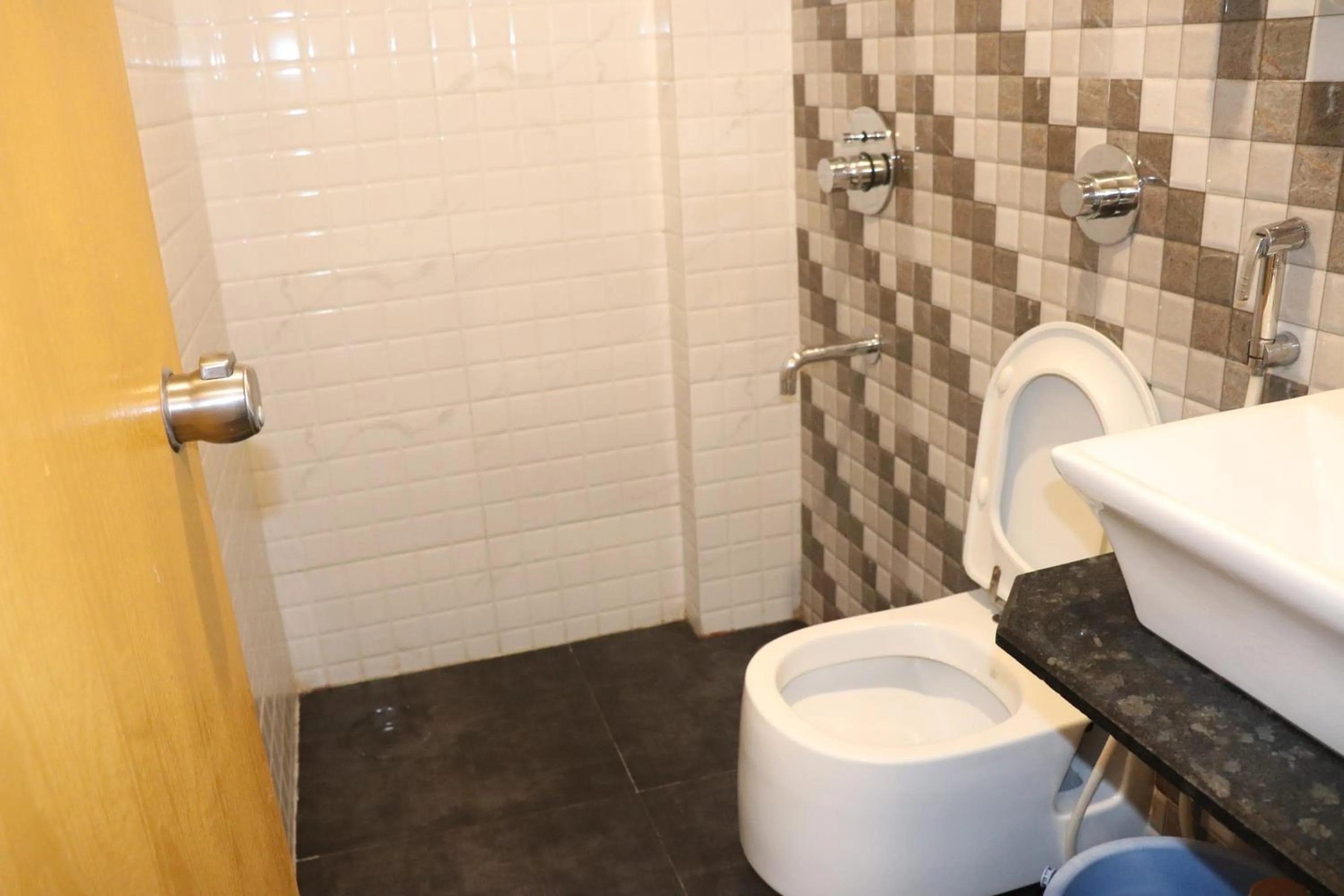 Bathroom in Hotel Raj