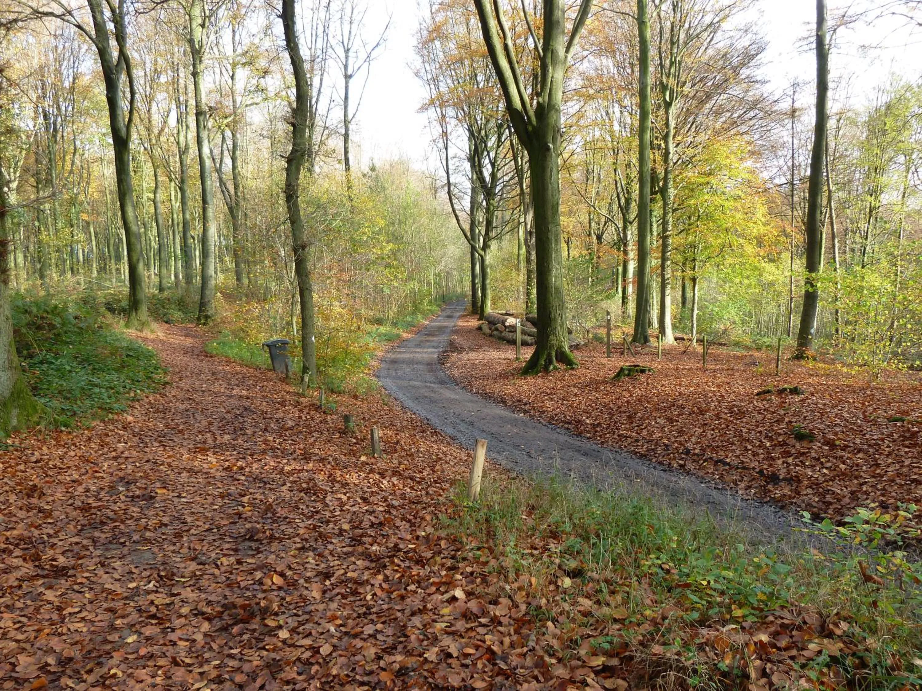 Off site in Entre monts et collines B&B et spa en option