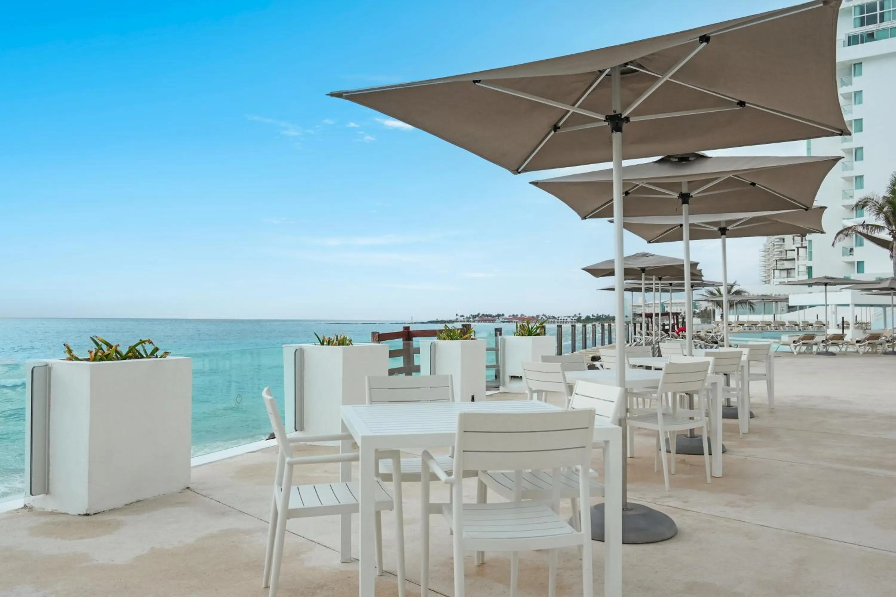 Restaurant/places to eat in Oleo Cancun Playa All Inclusive Resort