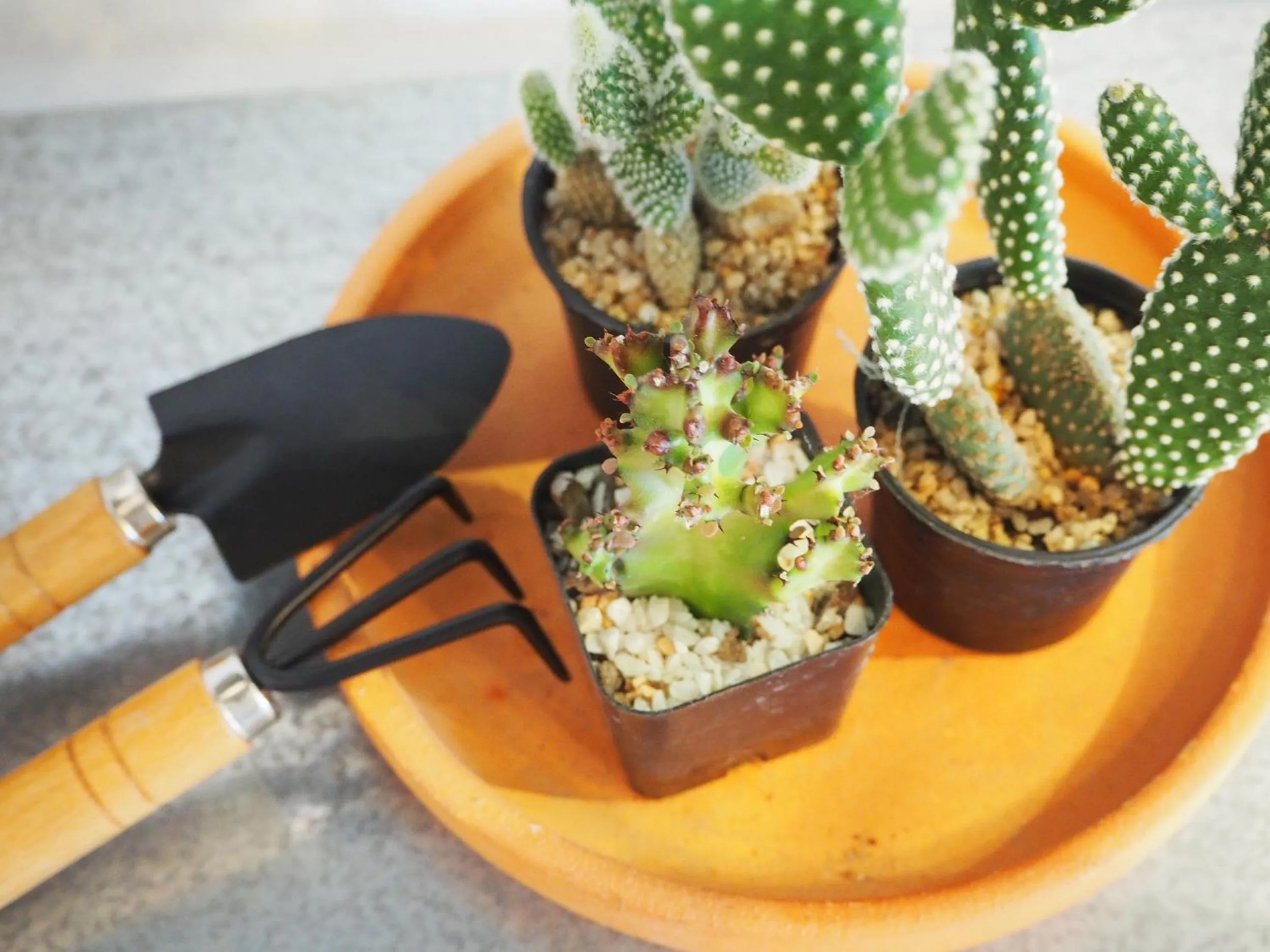 Decorative detail in Green Sleep Hostel