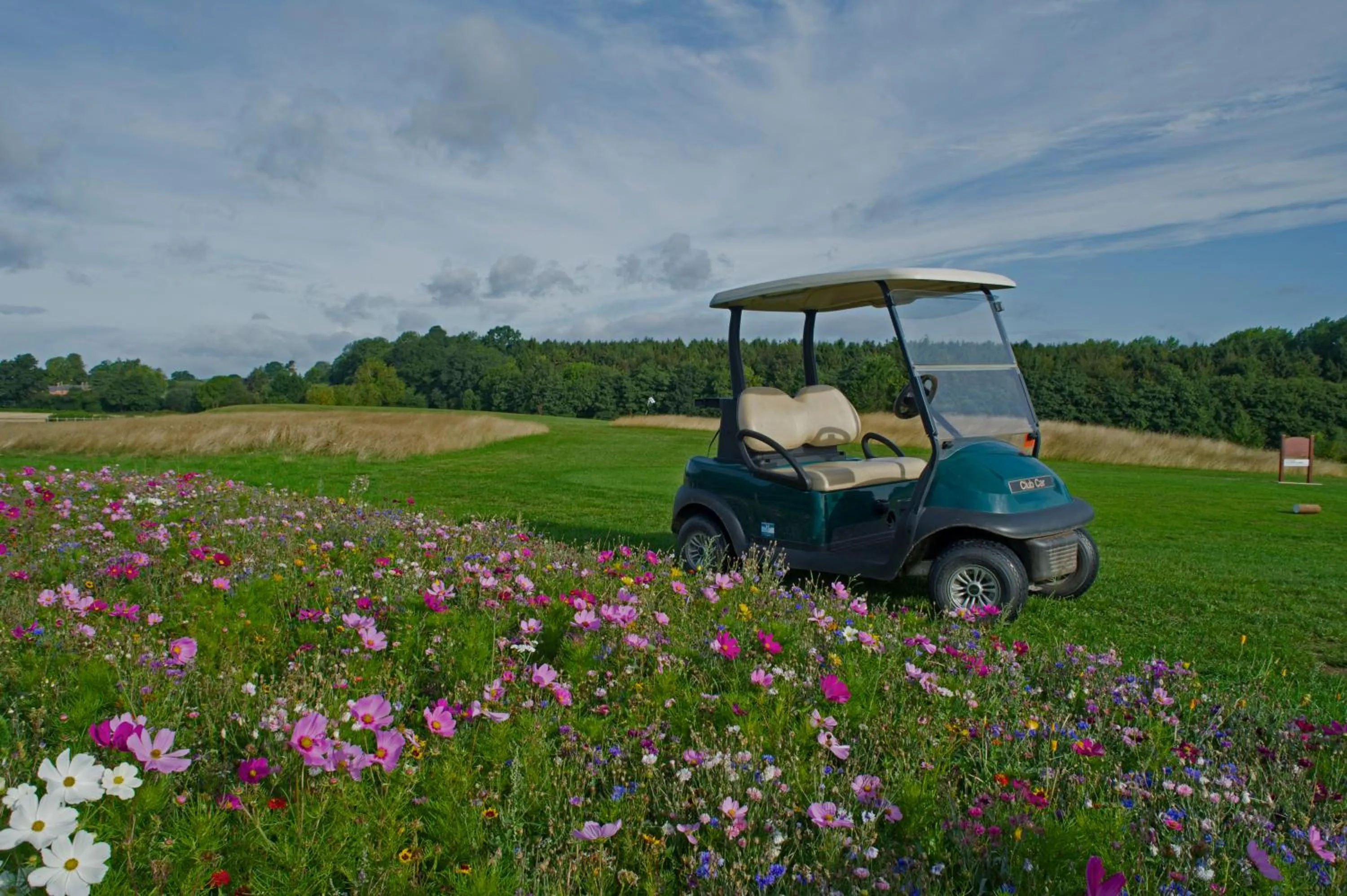 Golfcourse in Alexander Park B&B