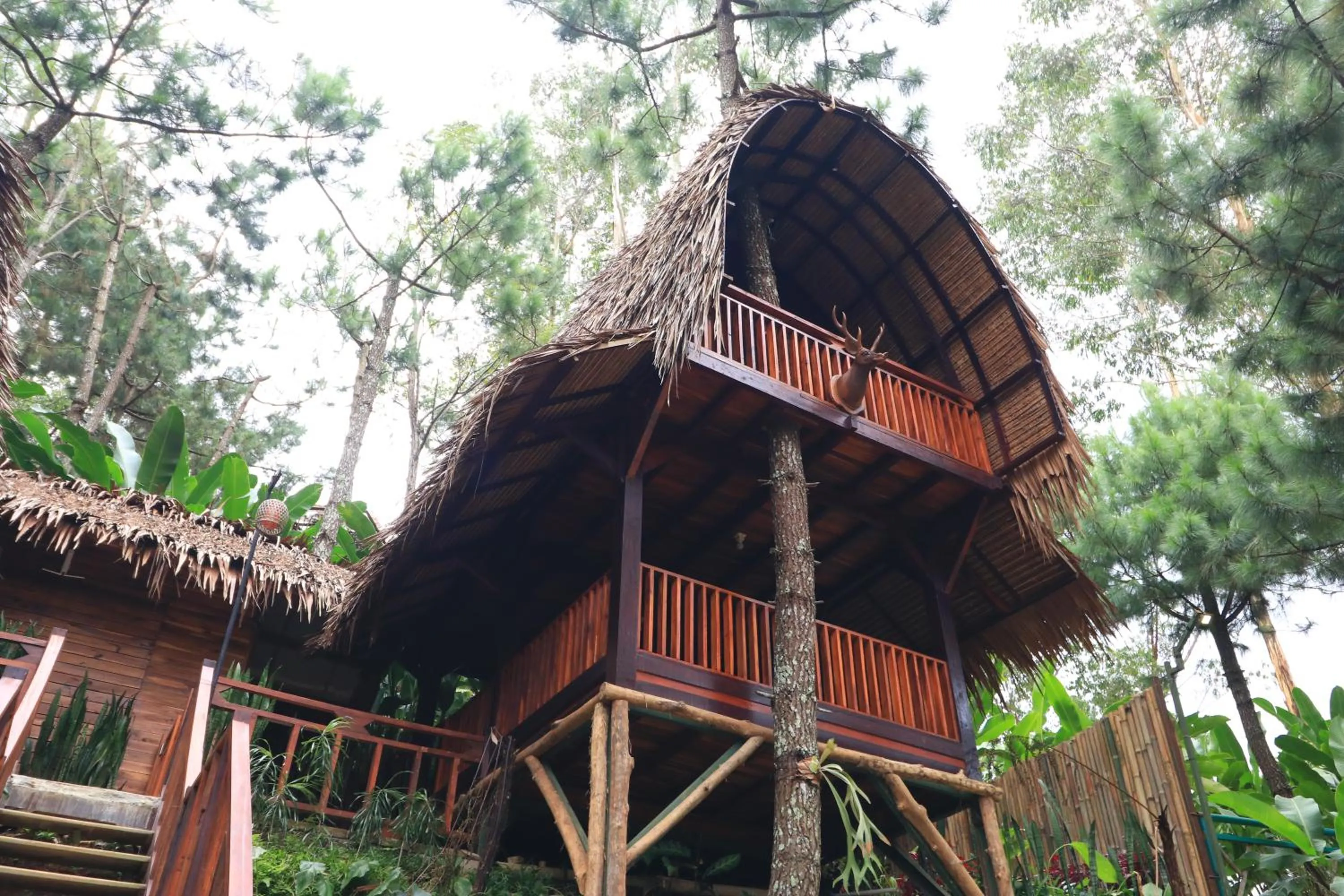 The Lodge Maribaya