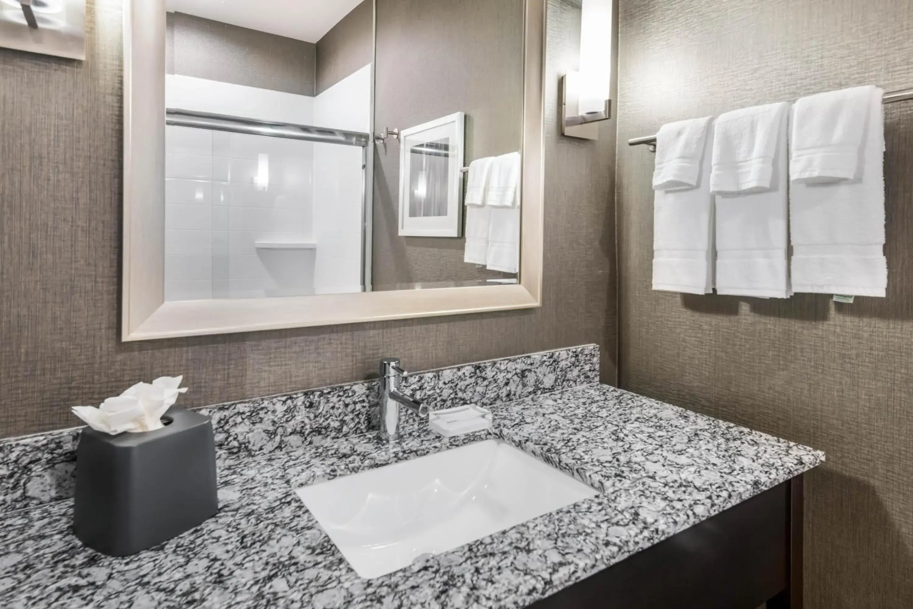 Queen Studio - Disability Access in Holiday Inn & Suites Silicon Valley - Milpitas by IHG Queen Studio - Disability Access in Holiday Inn & Suites Silicon Valley - Milpitas by IHG