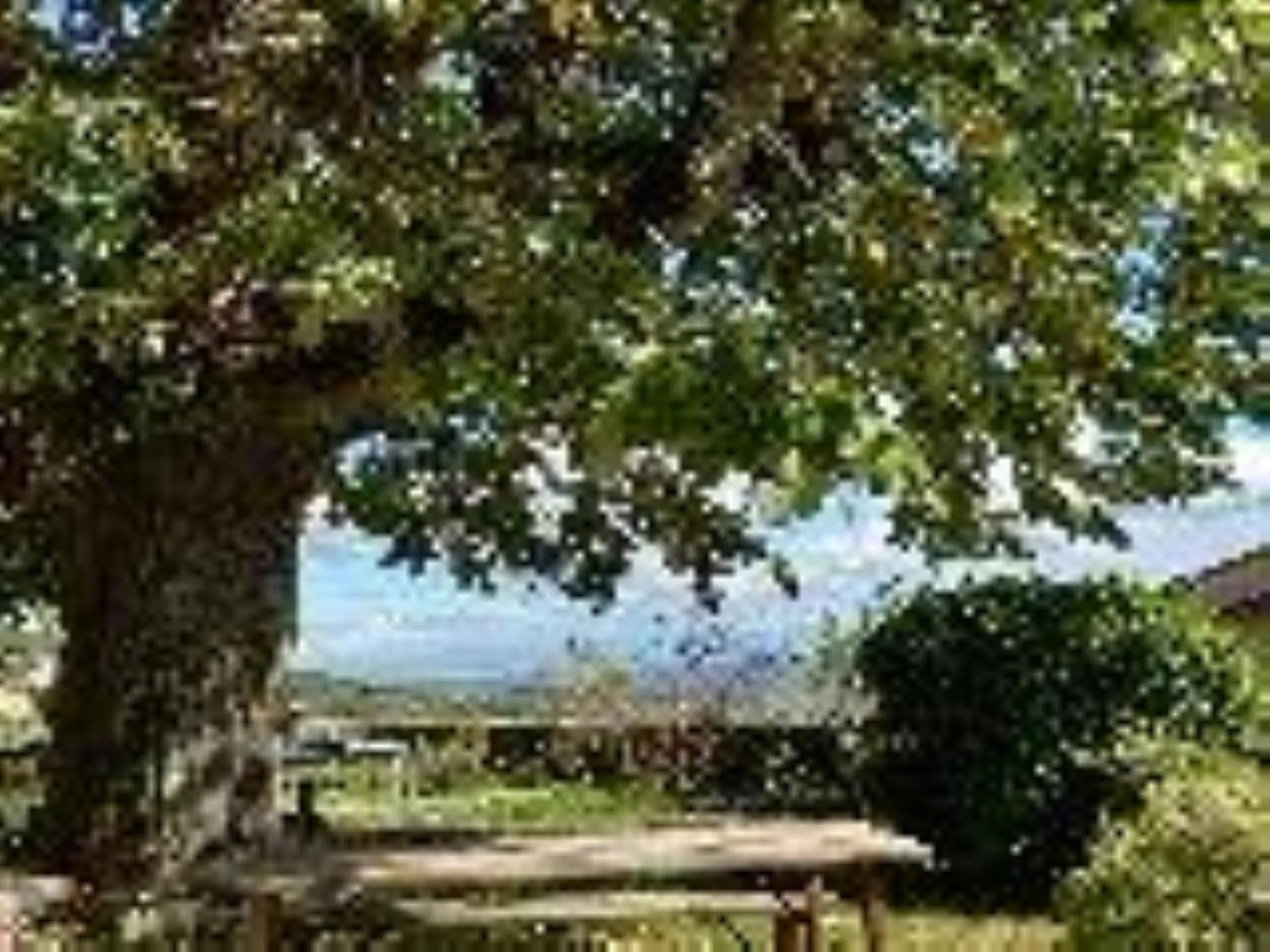 Natural landscape in Chateau De Riverie chambres et table d'hôtes