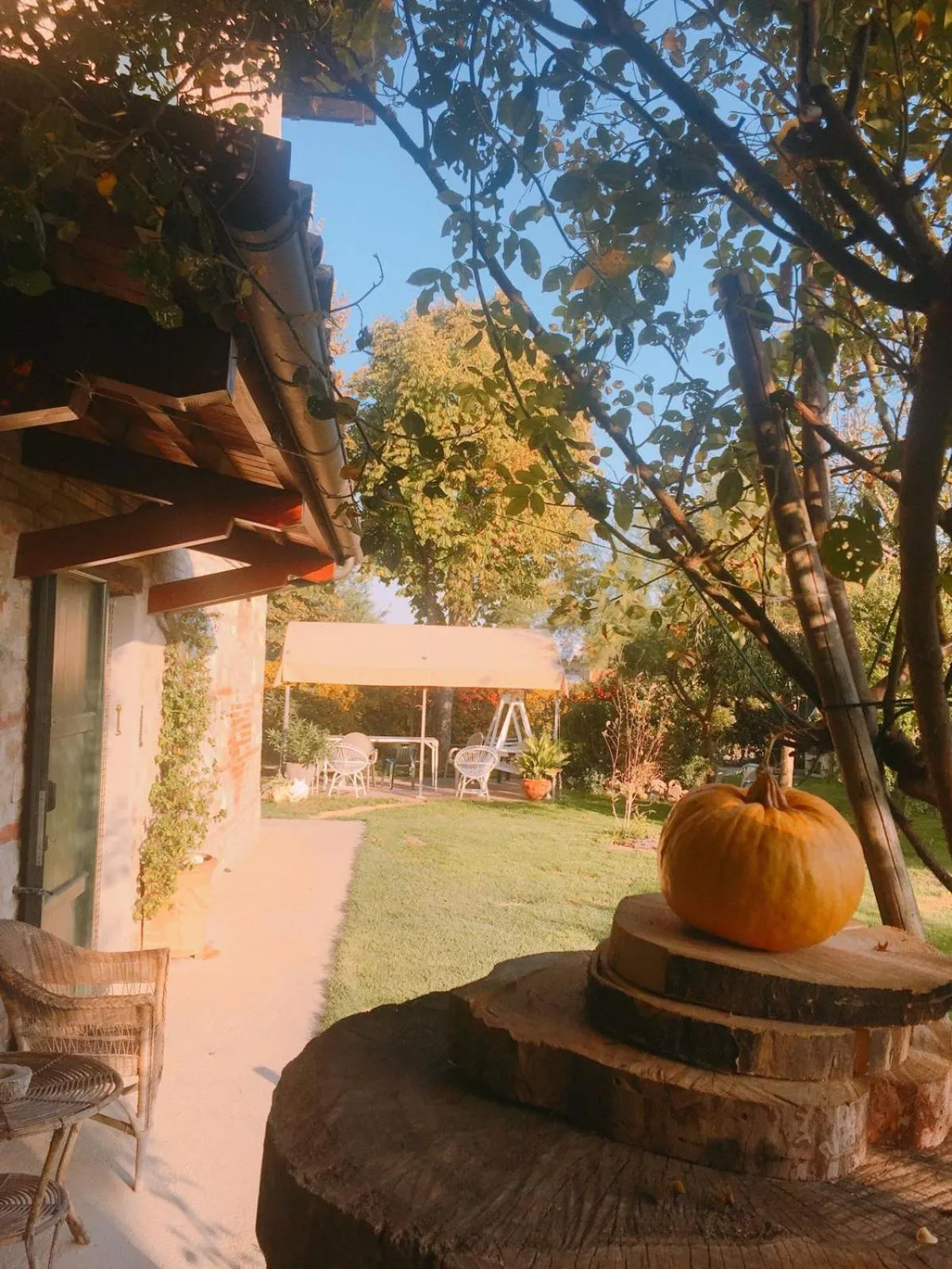 Garden in Casa Tilde