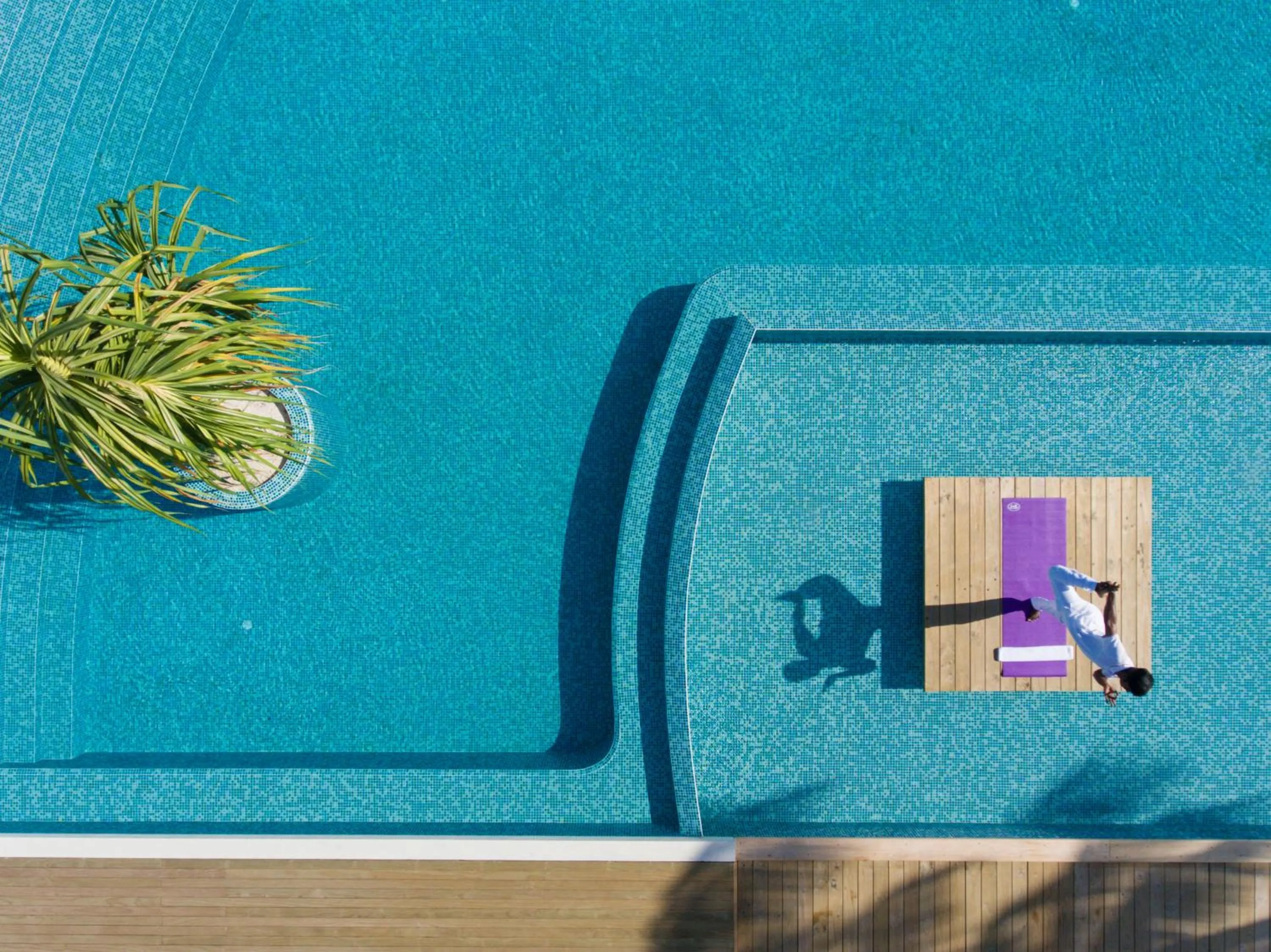 Restaurant/places to eat in Niva Dhigali Maldives - A Premium All-Inclusive Resort