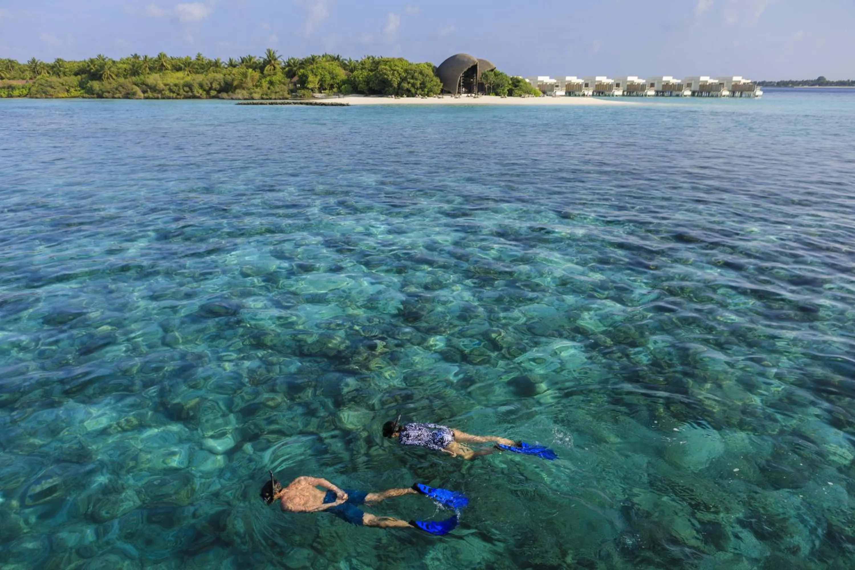 Natural landscape in Niva Dhigali Maldives - A Premium All-Inclusive Resort