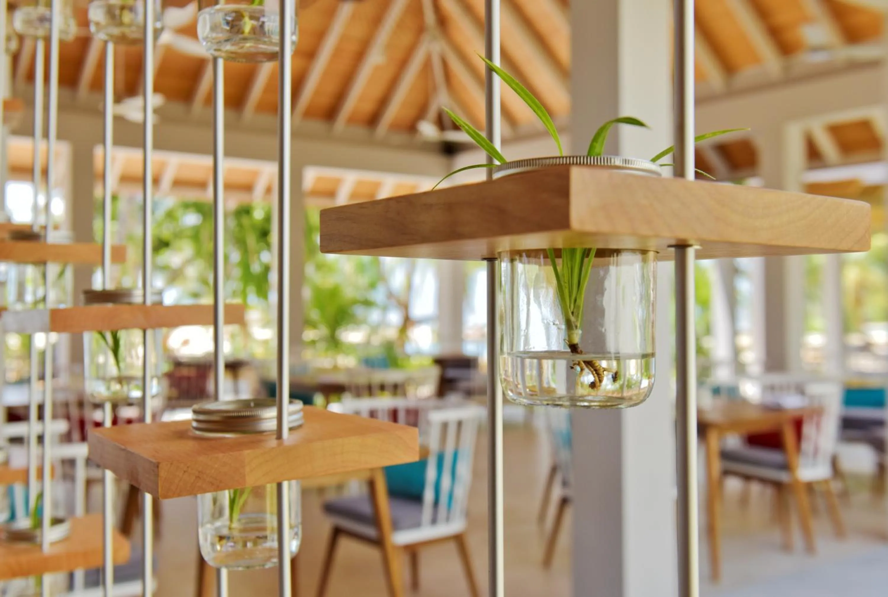 Restaurant/places to eat in Niva Dhigali Maldives - A Premium All-Inclusive Resort