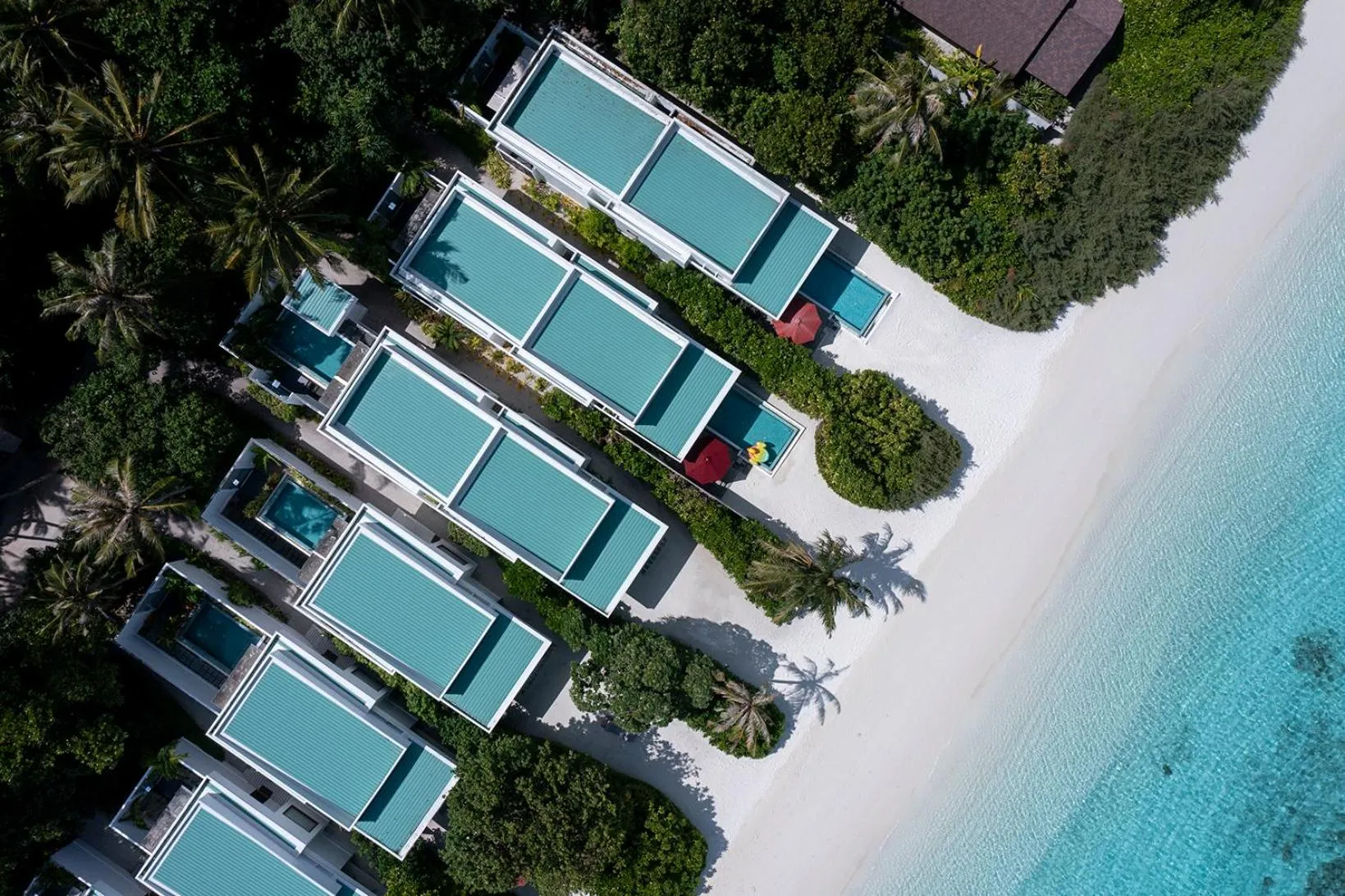 Natural landscape in Niva Dhigali Maldives - A Premium All-Inclusive Resort