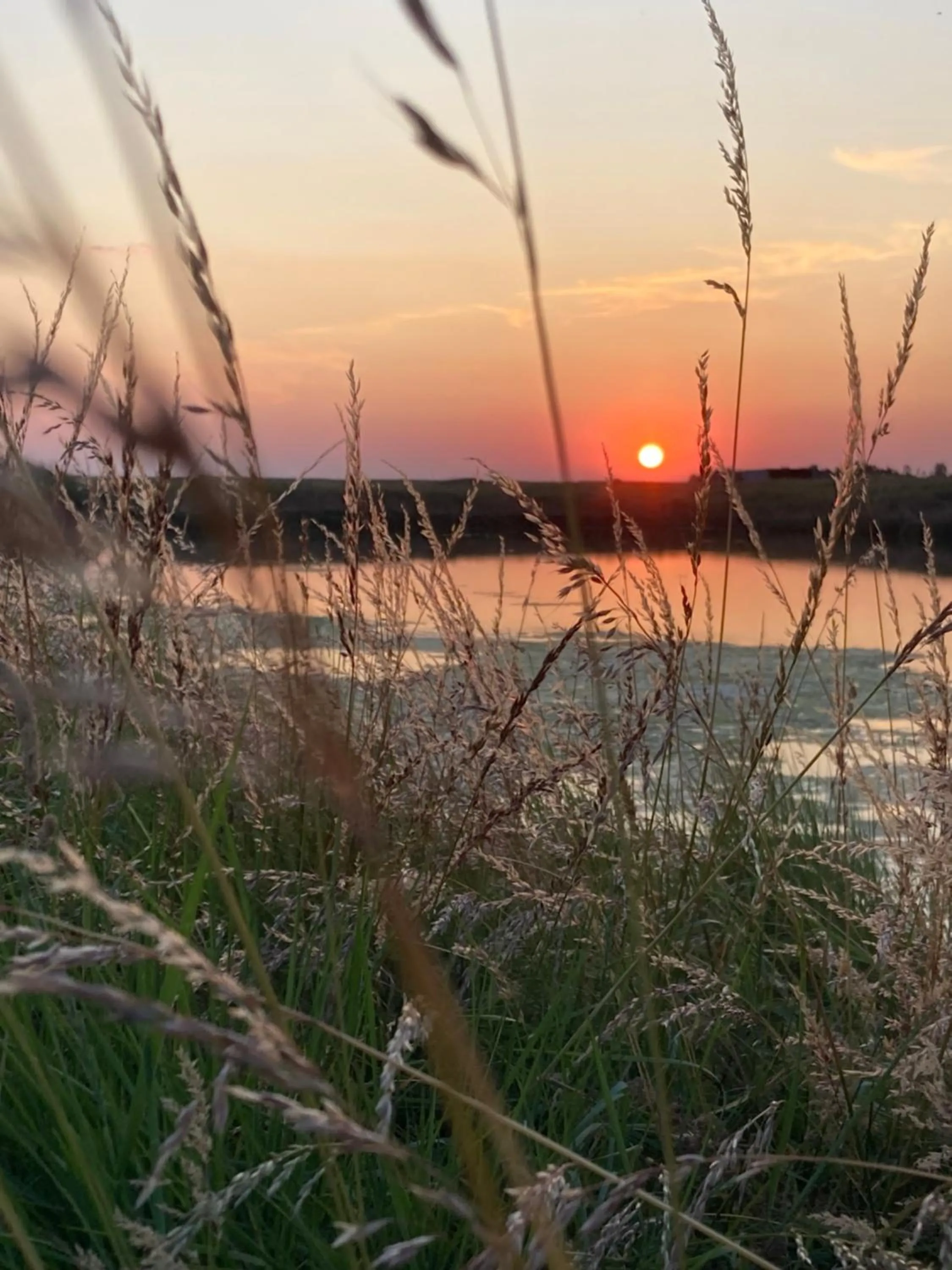 Les Pensions du Joslin