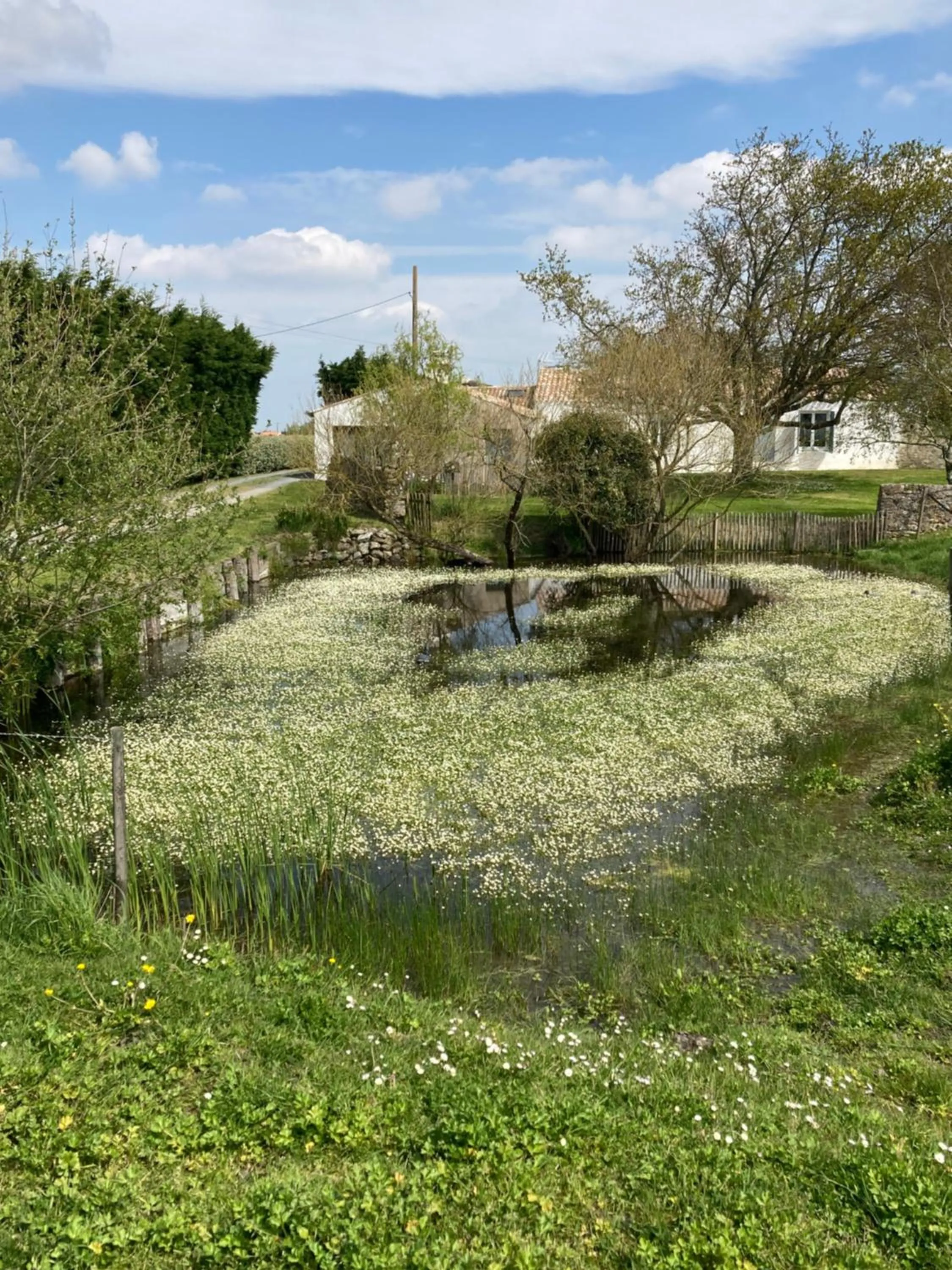 Les Pensions du Joslin