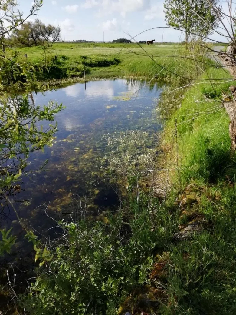 Les Pensions du Joslin