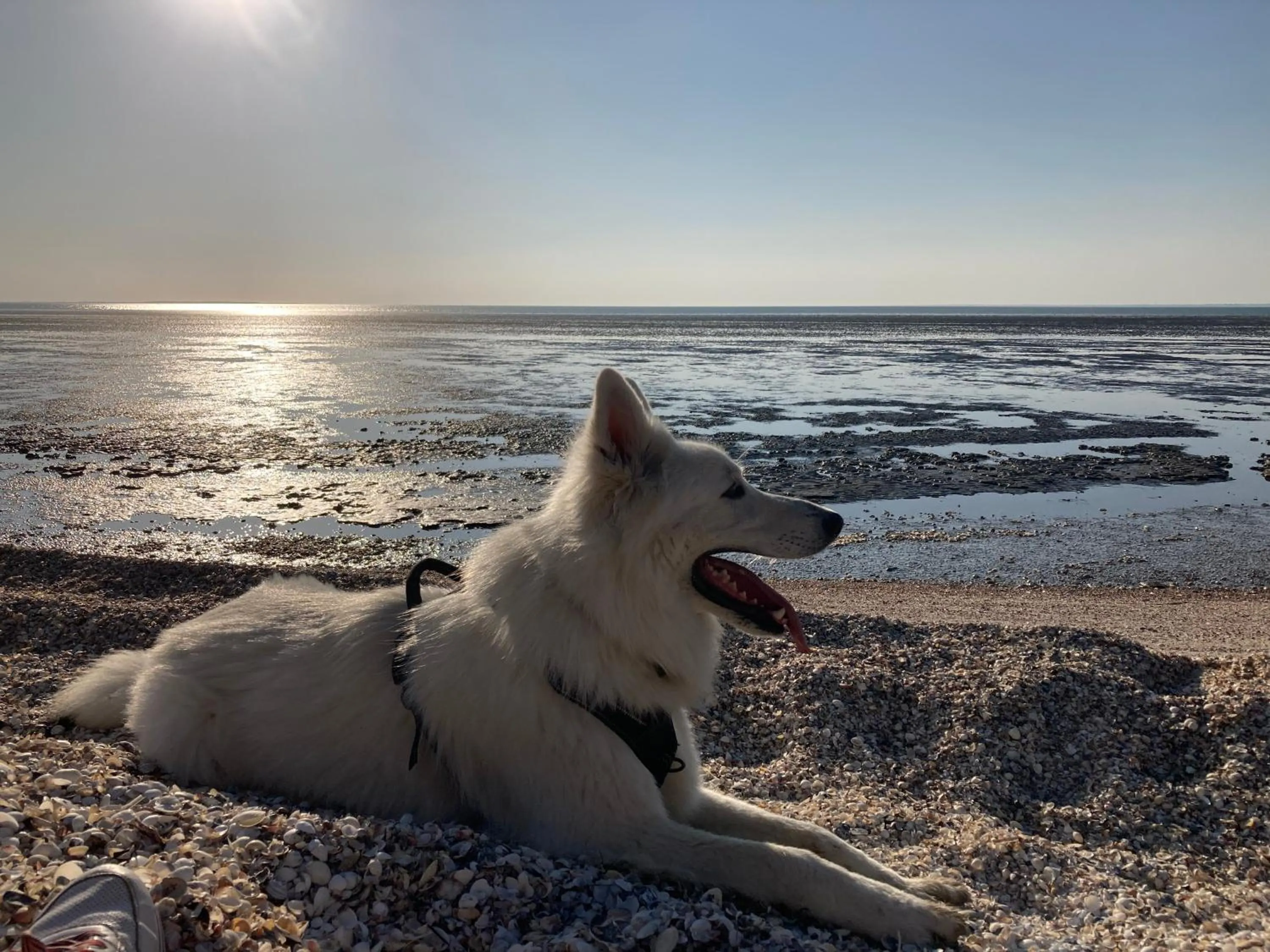 Les Pensions du Joslin