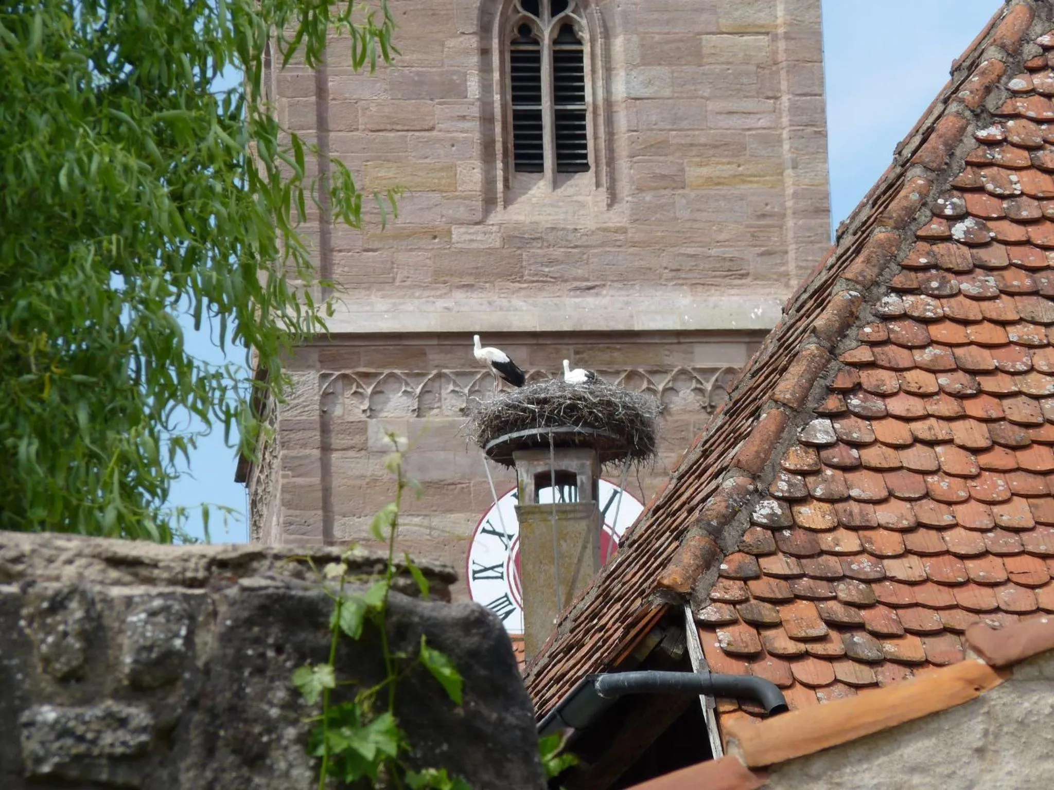 City view in Hotel Alte Vogtei