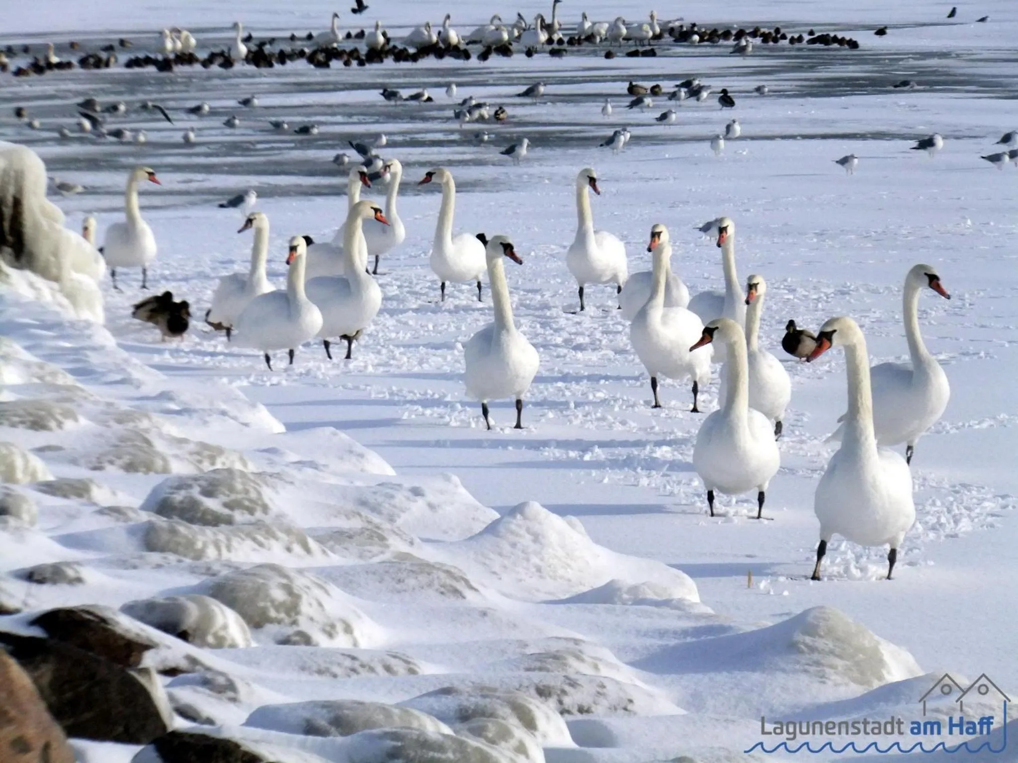 Winter in Lagunenstadt am Haff GmbH