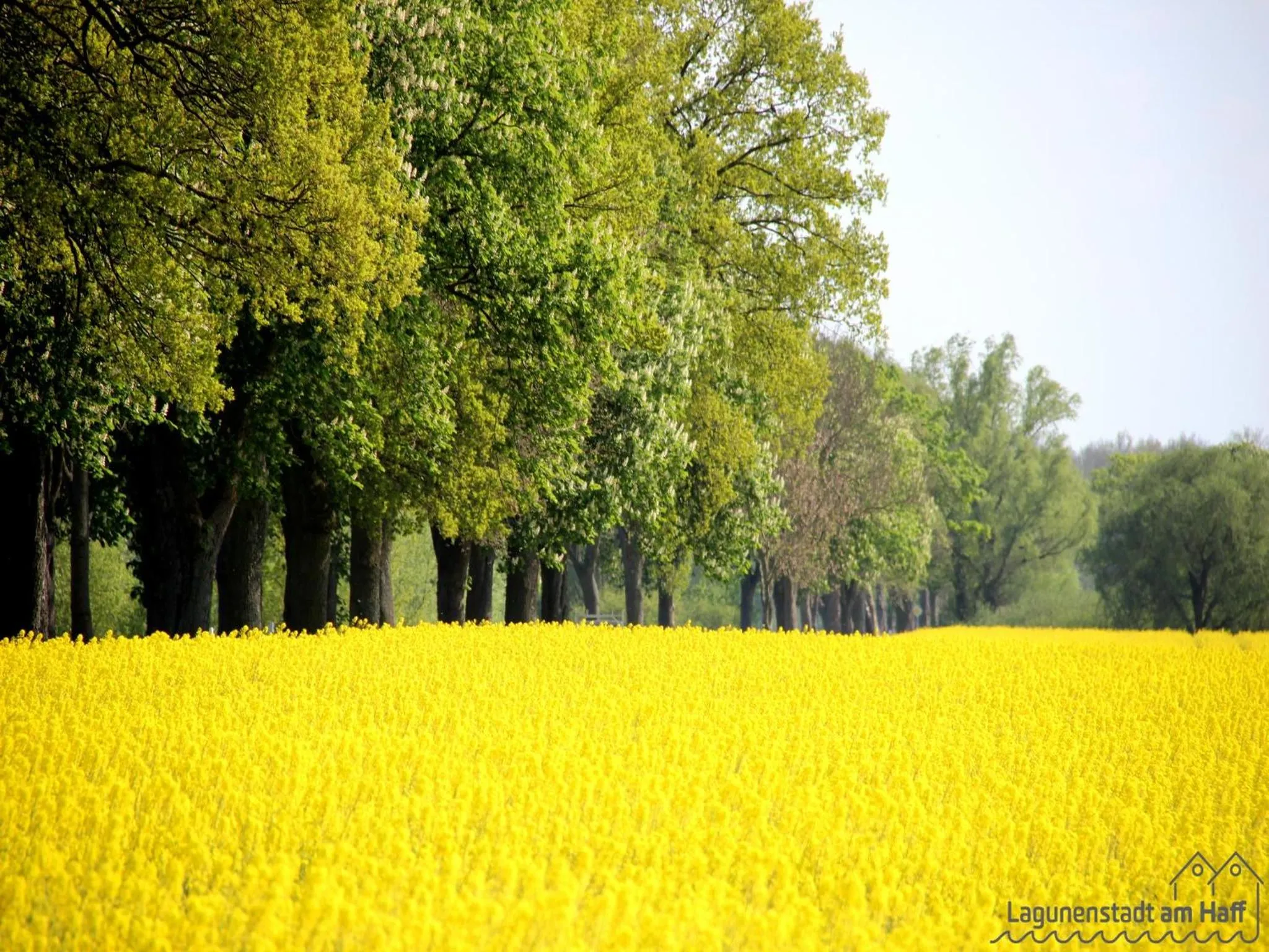 Spring in Lagunenstadt am Haff GmbH