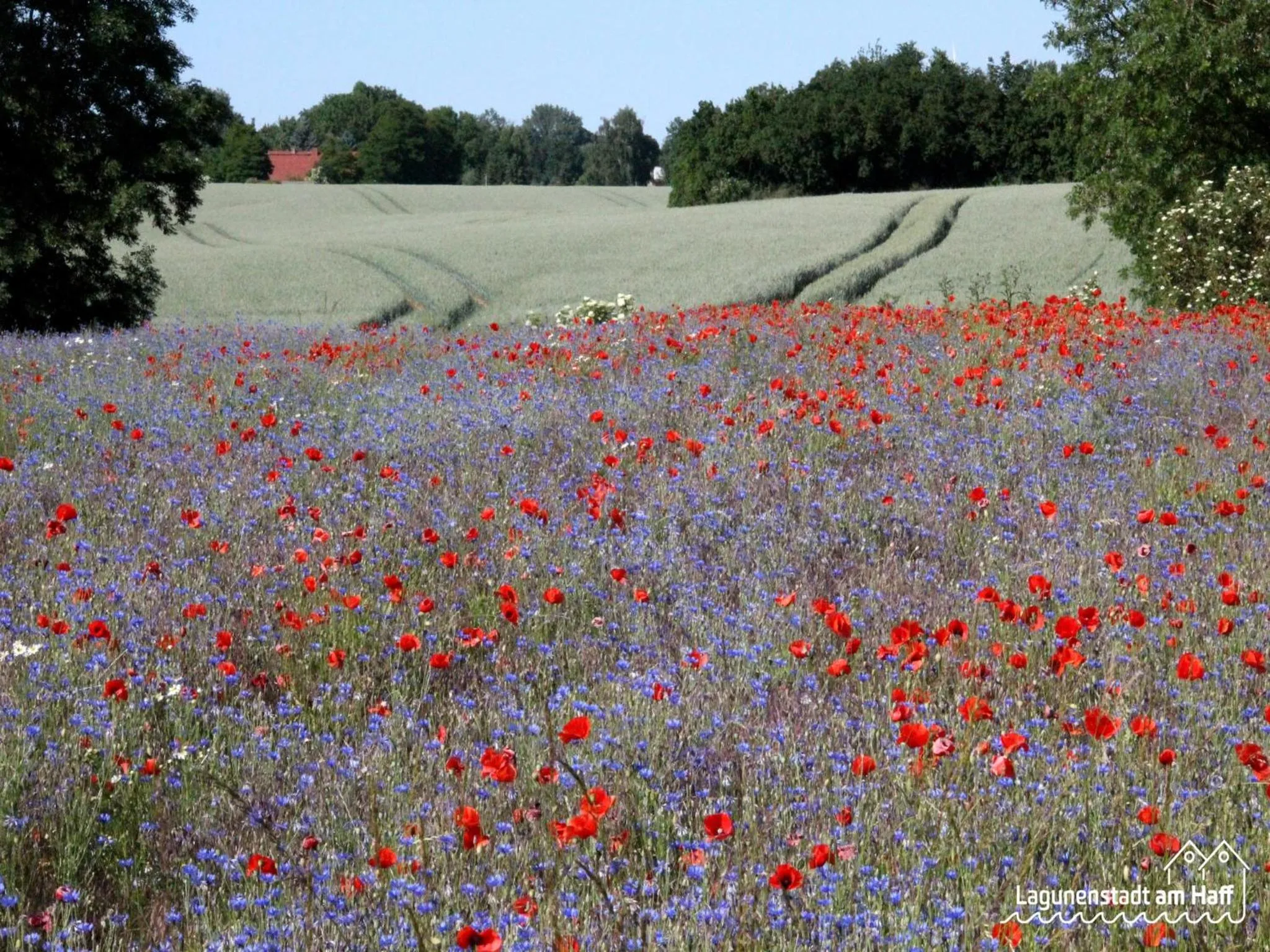 Spring in Lagunenstadt am Haff GmbH