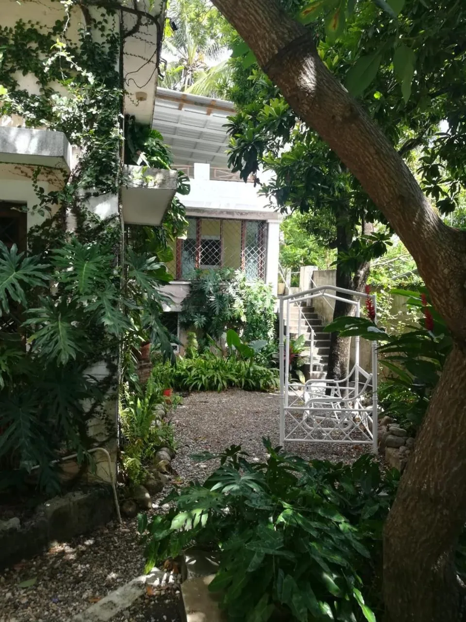 Villa Carolina Bed and Breakfast